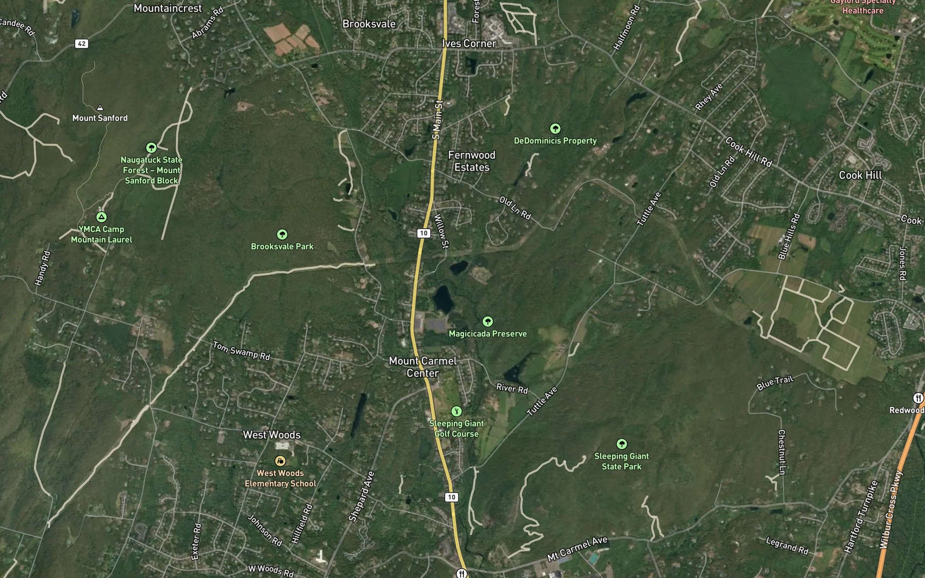 Satellite map of the Willow Brook