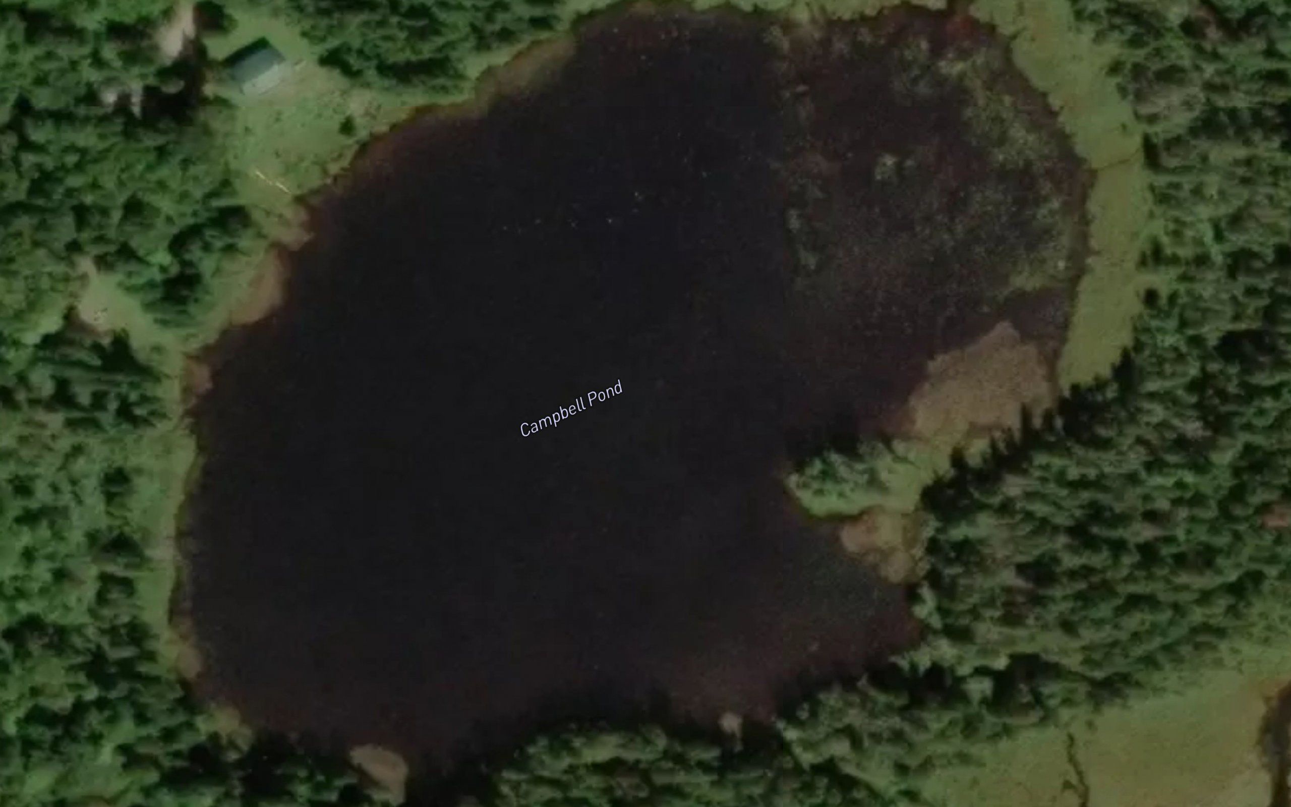 Campbell Pond