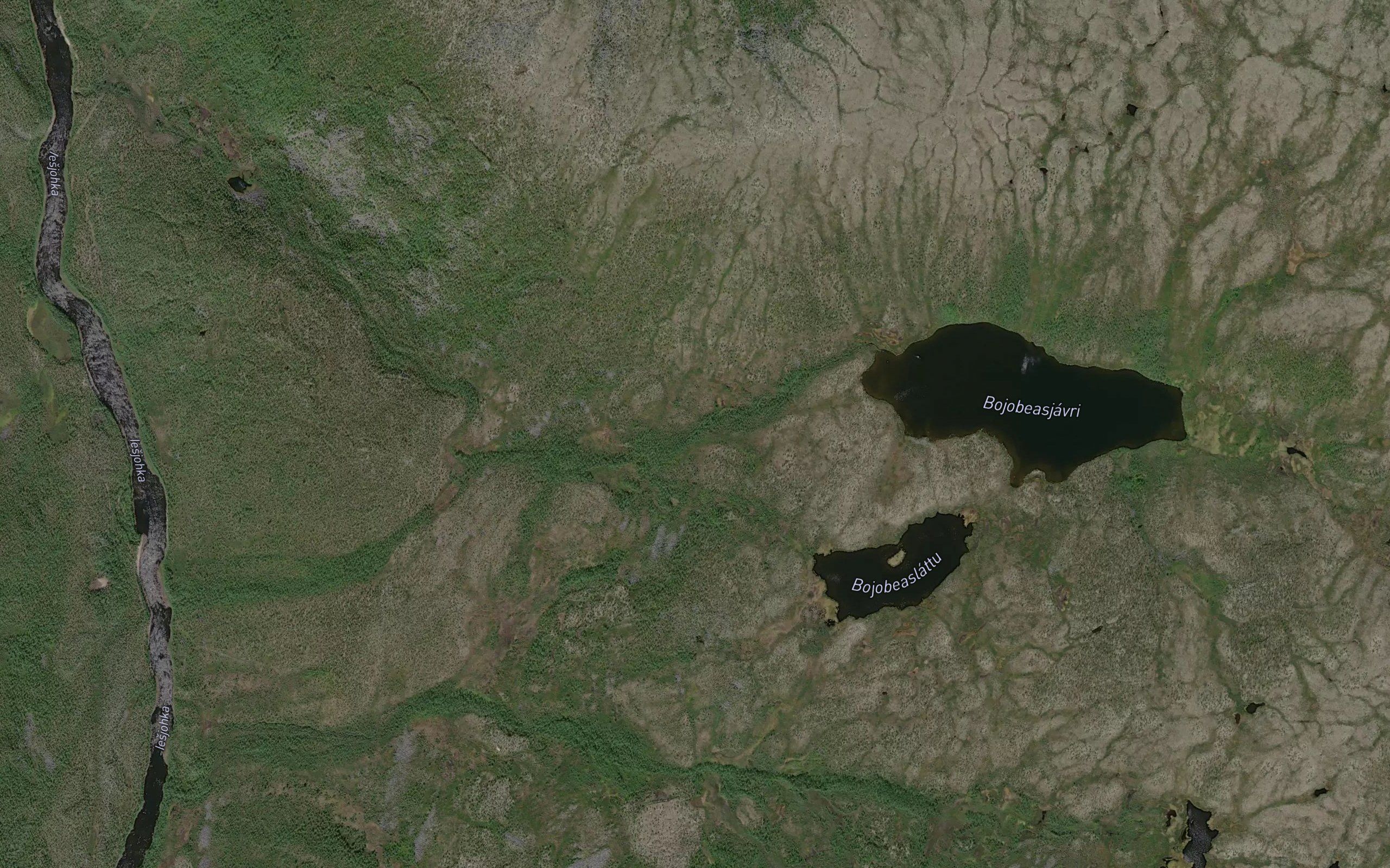 Bajubaesjakka