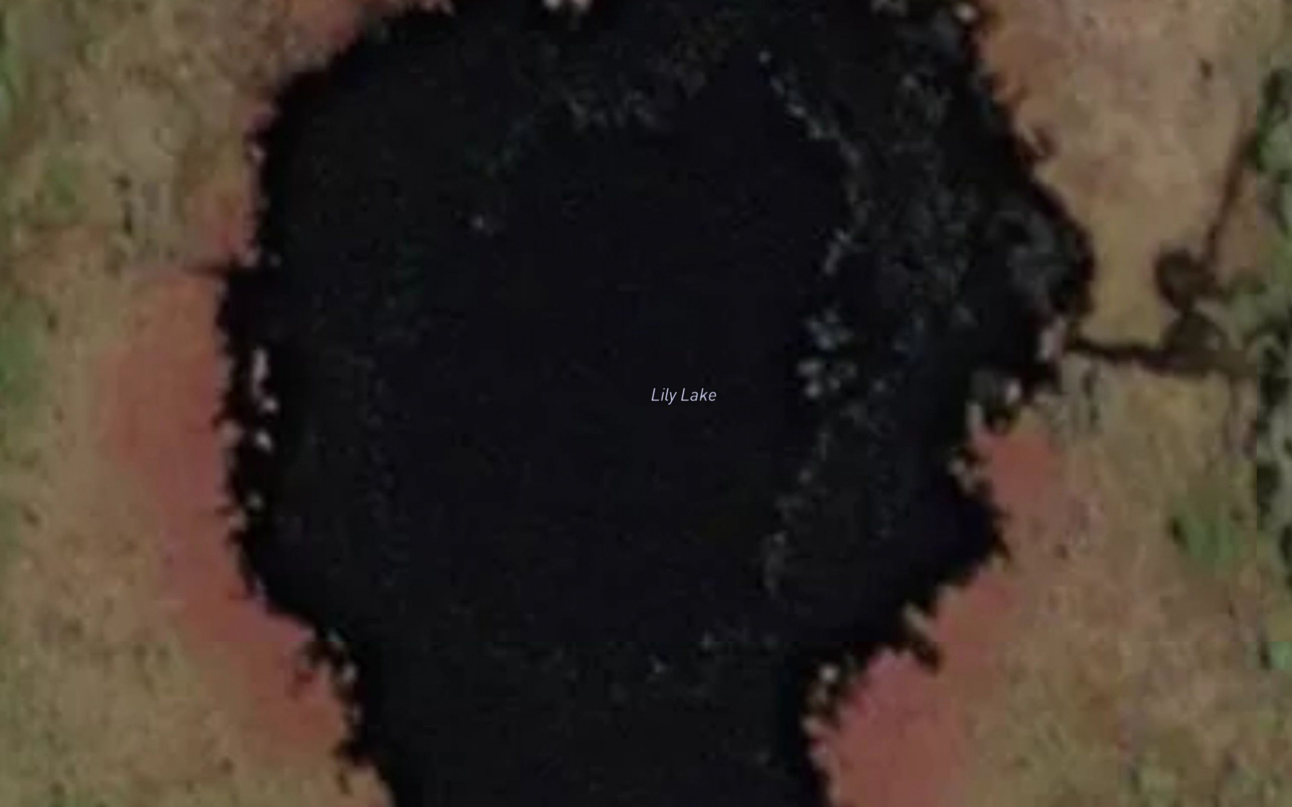 Lily Lake