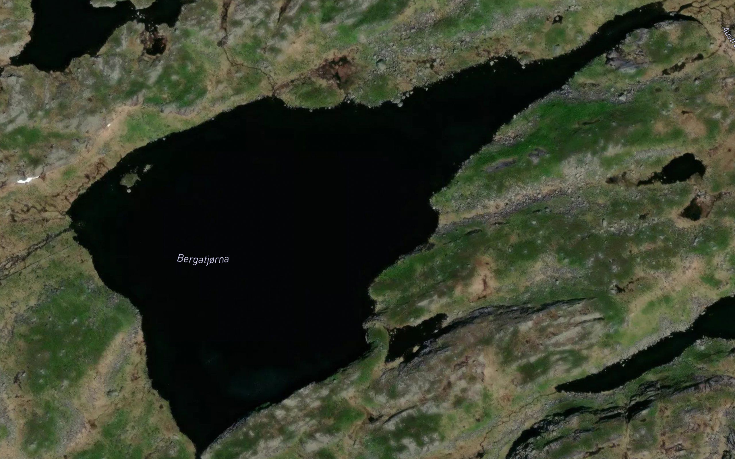 Bergatjorna