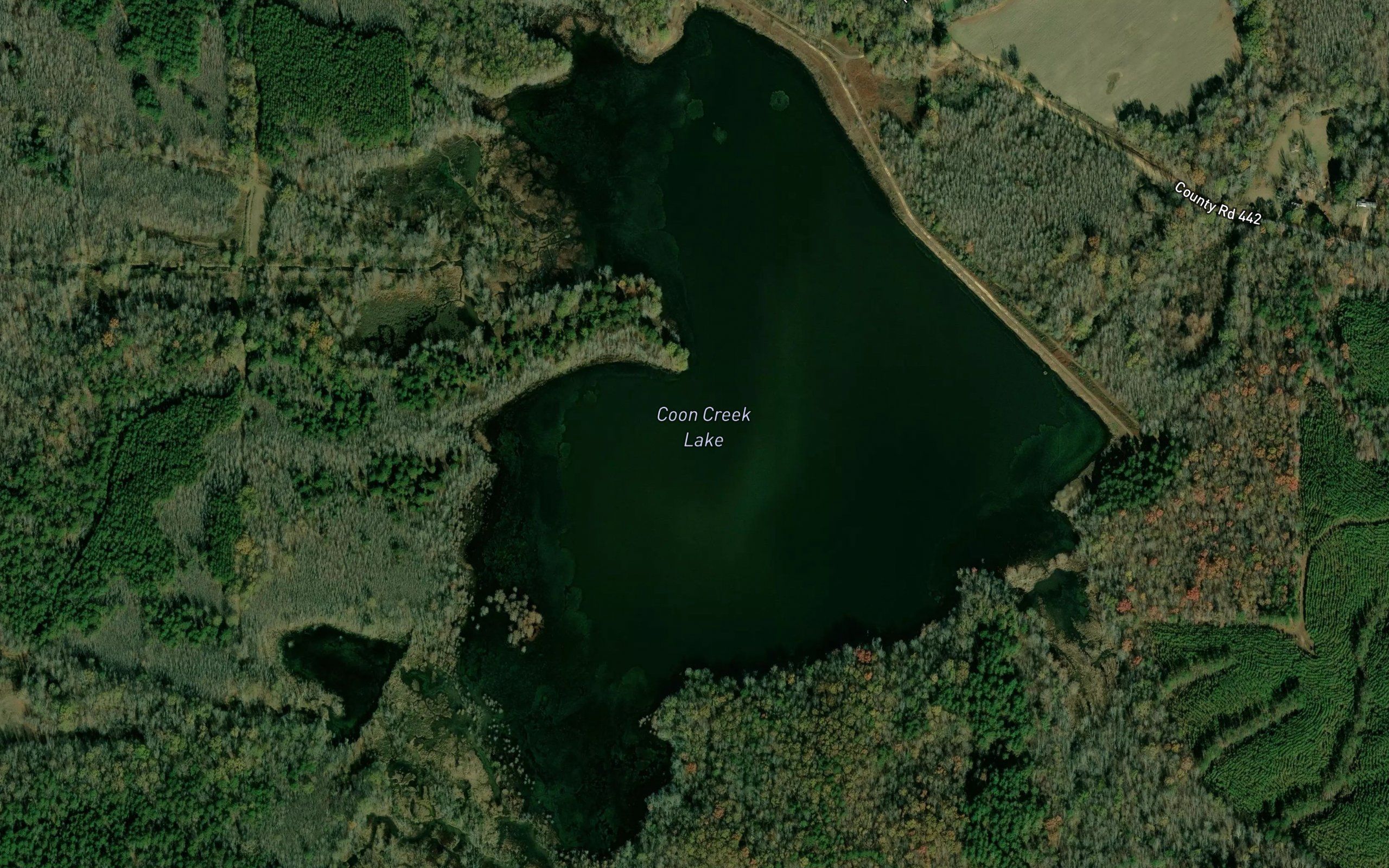 Coon Creek Lake