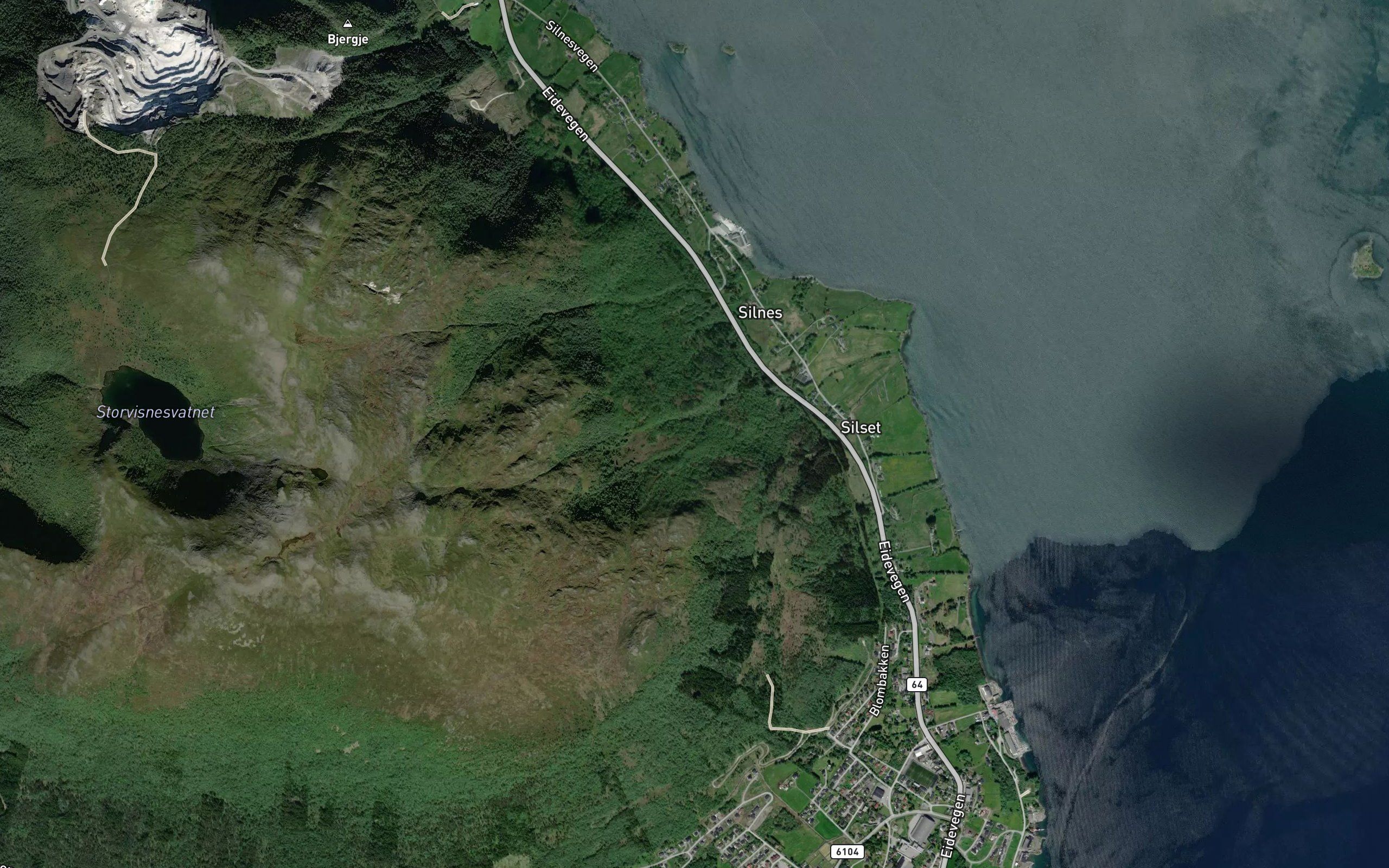 Silneselva