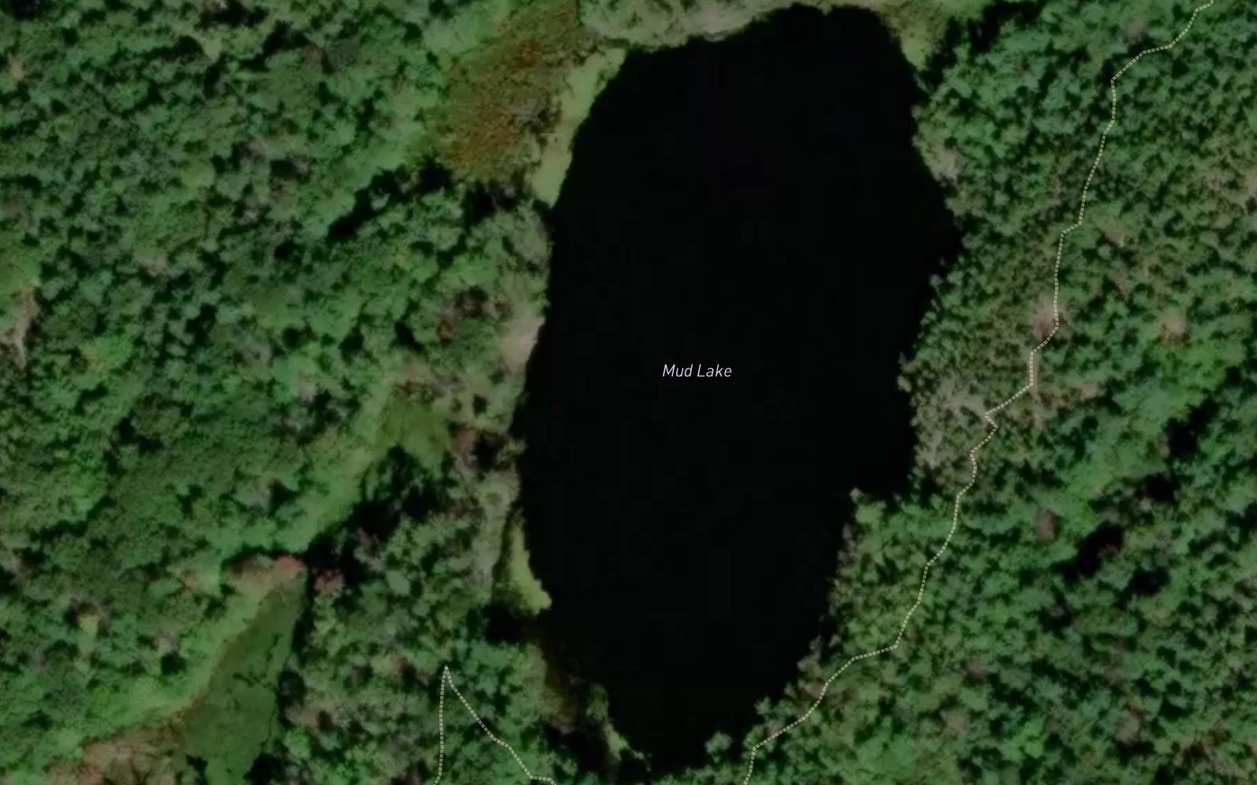 Satellite map of the Mud Lake