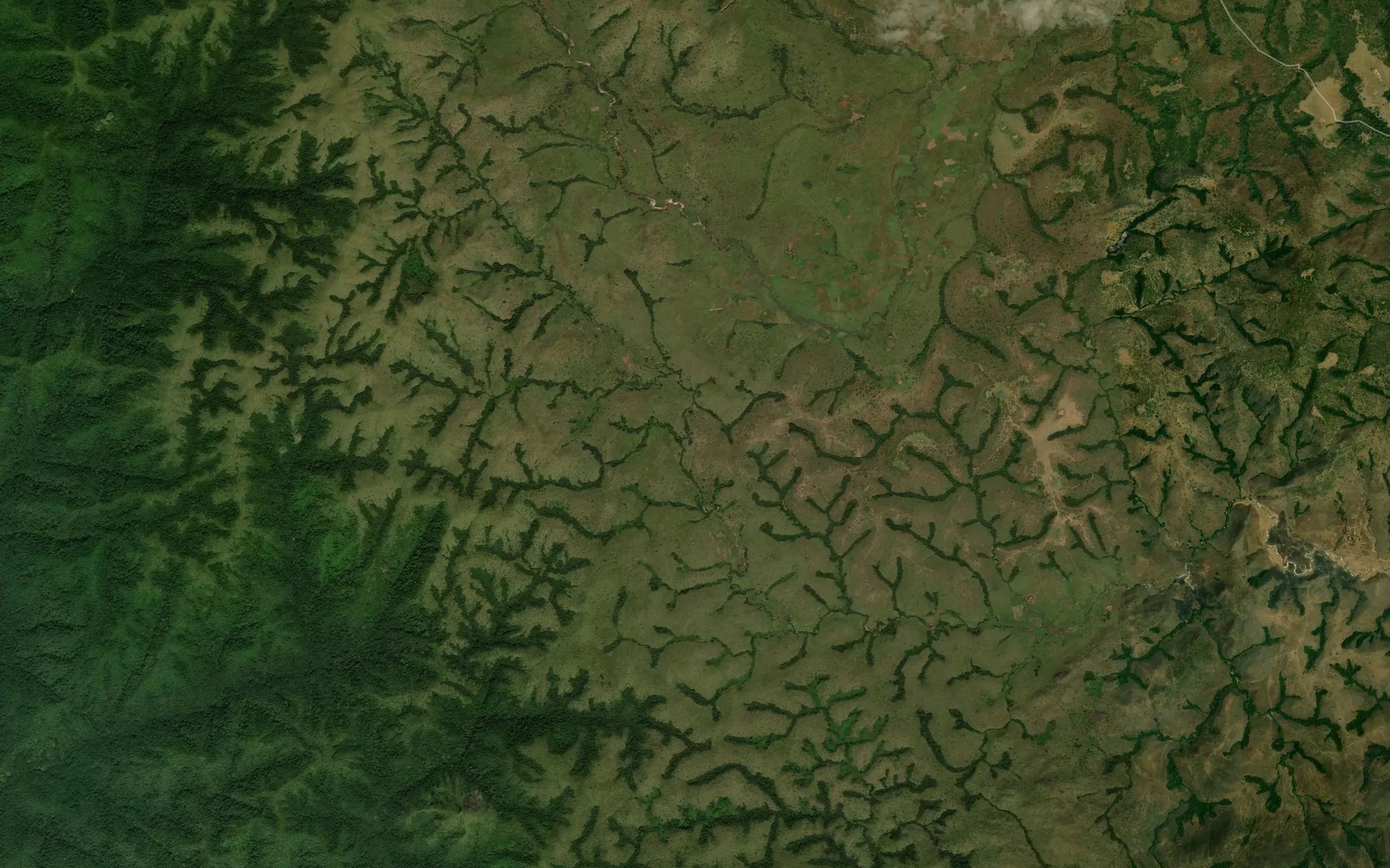 Satellite map of the Golbi