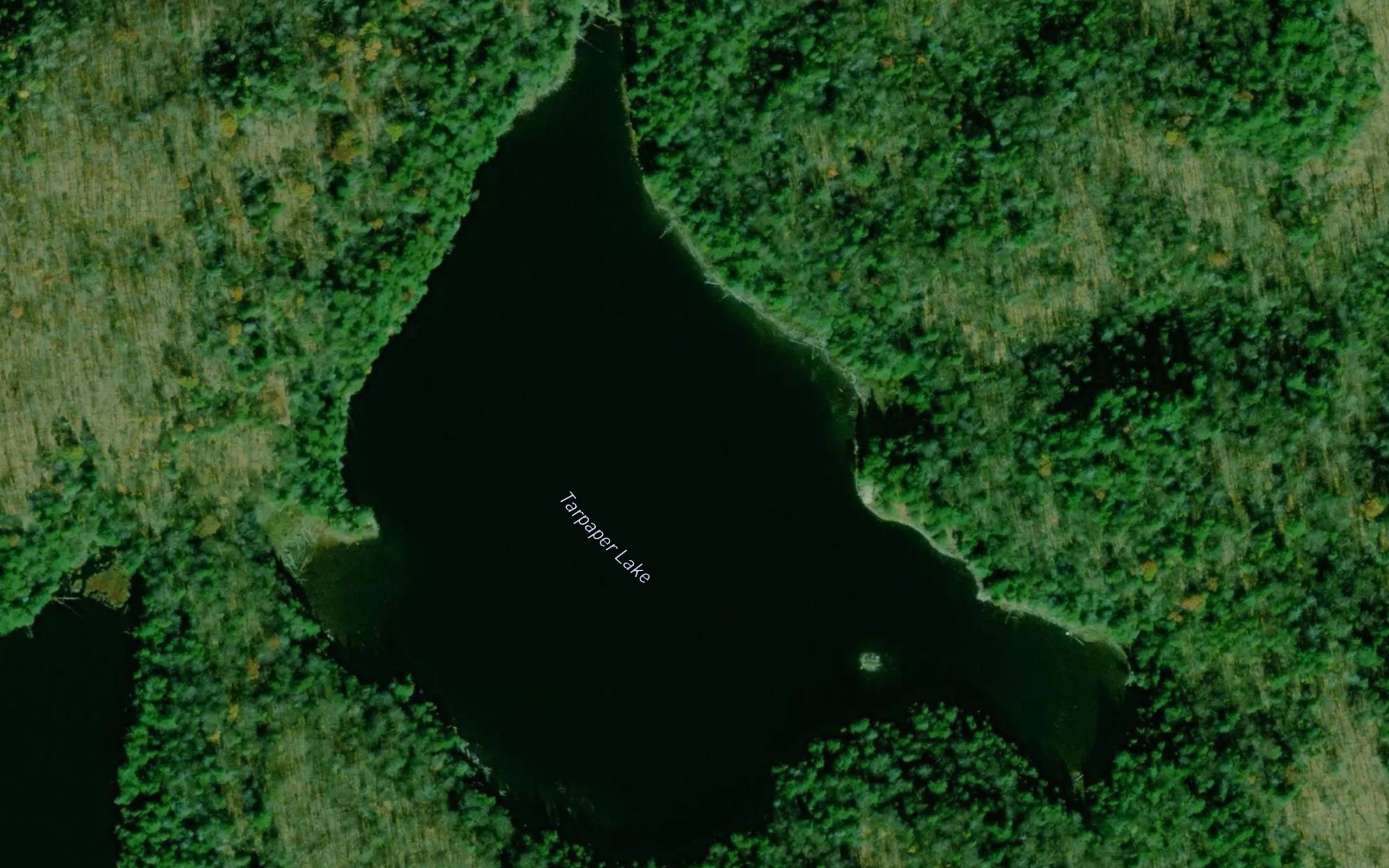 Tarpaper Lake