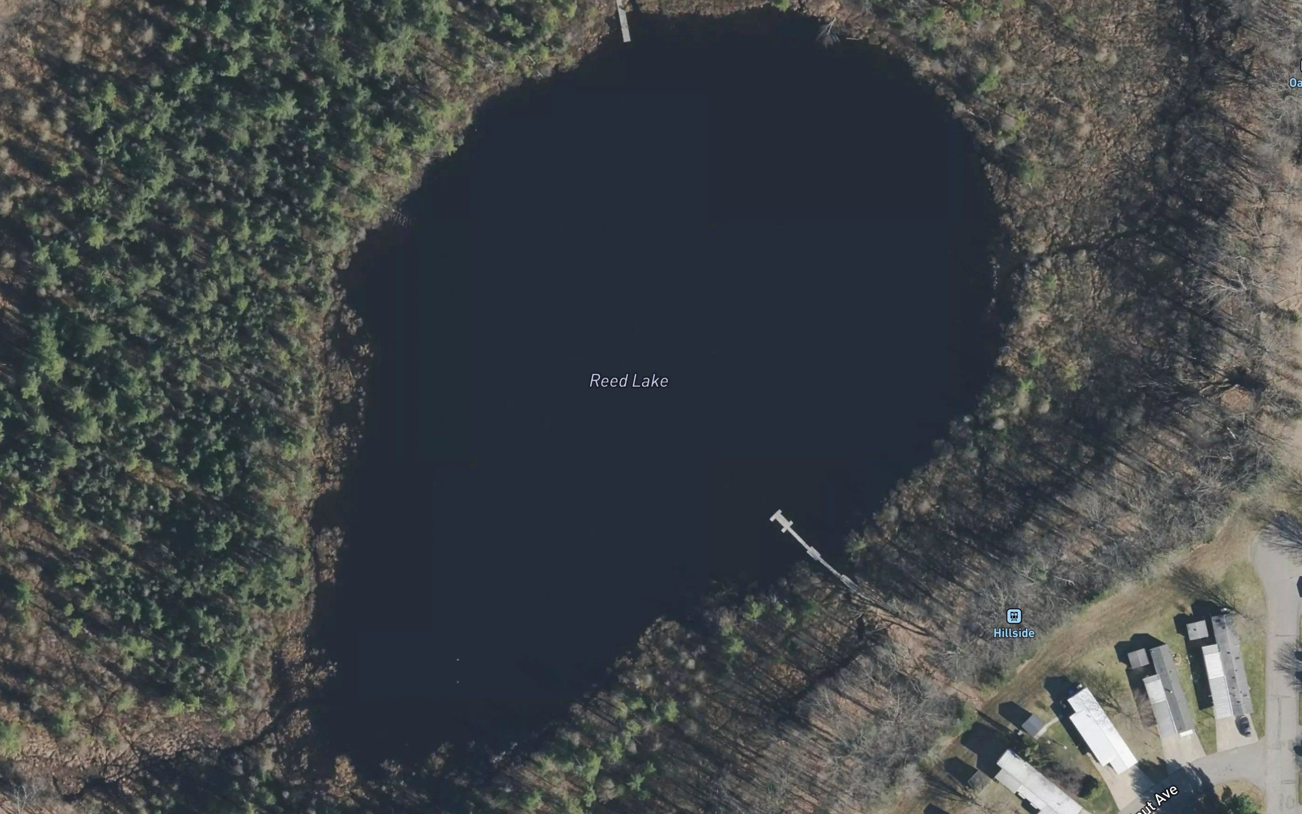 Reed Lake