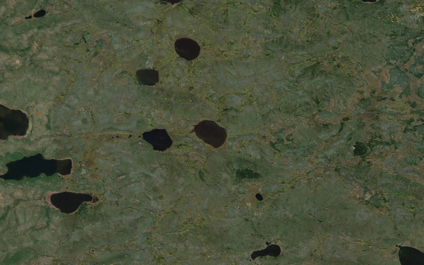 Satellite map of the Waskweesakwaskamotamisk Lake