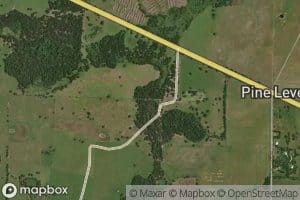 Buzzard Roost Branch