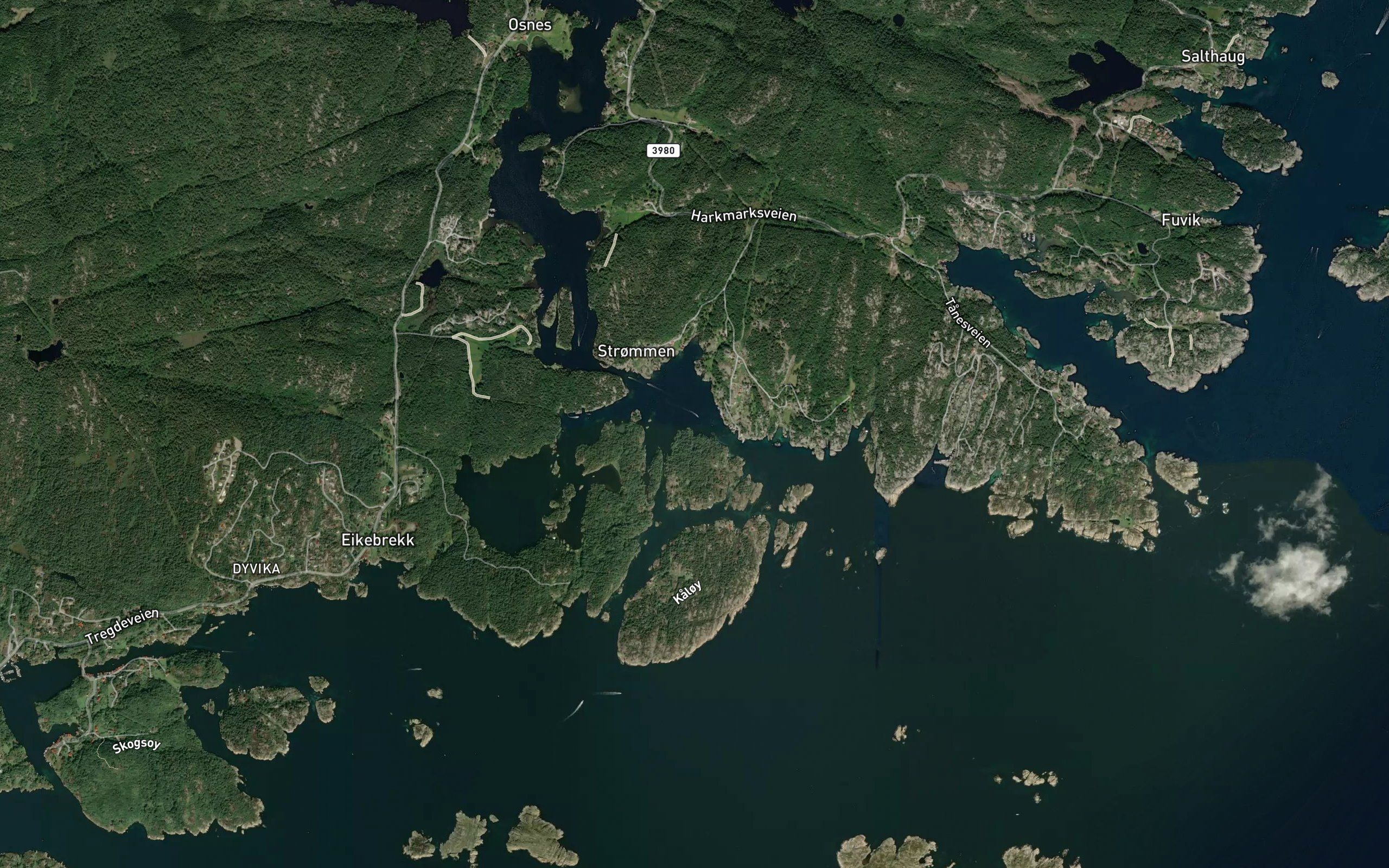 Arvika