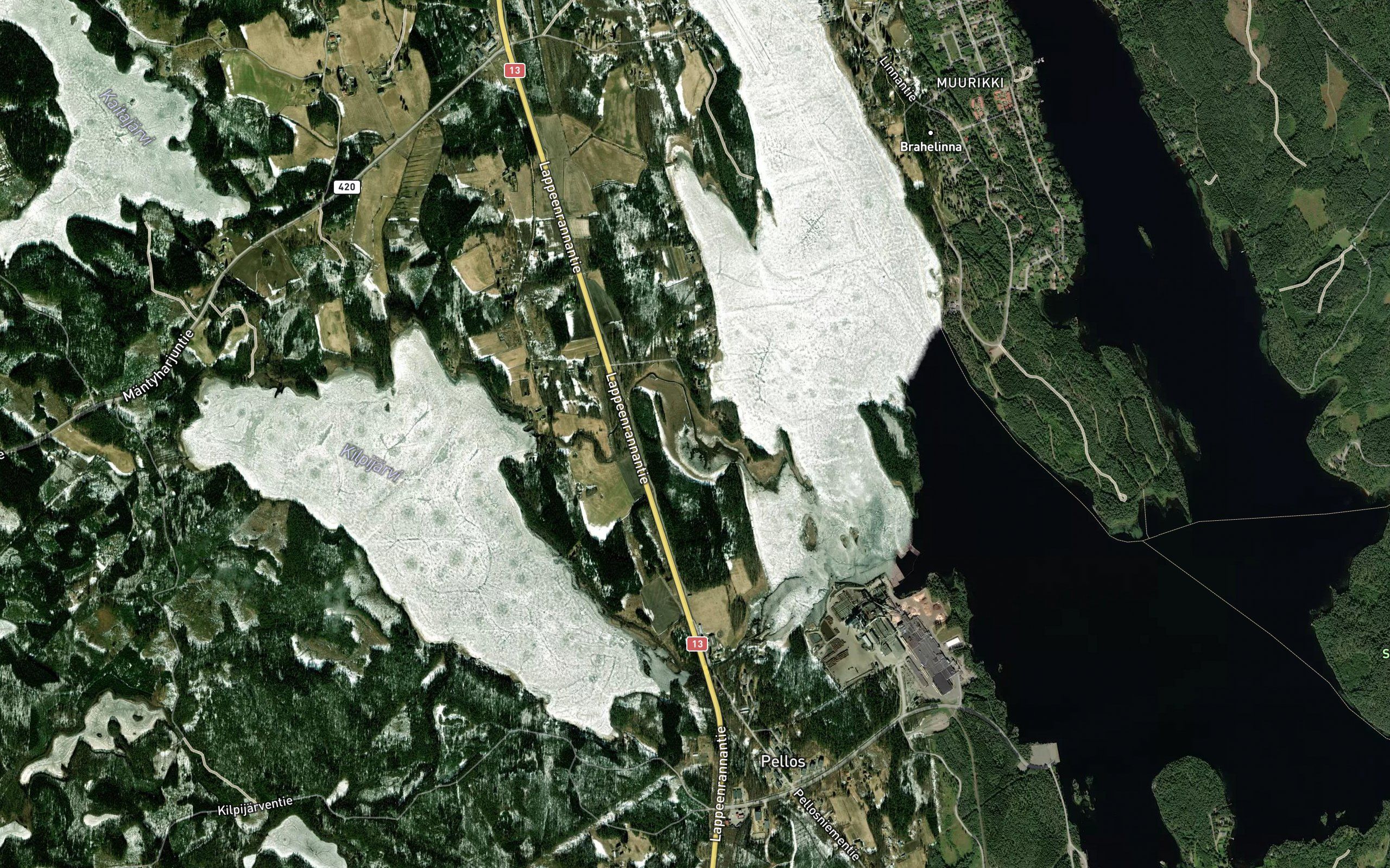 Kilpijoki