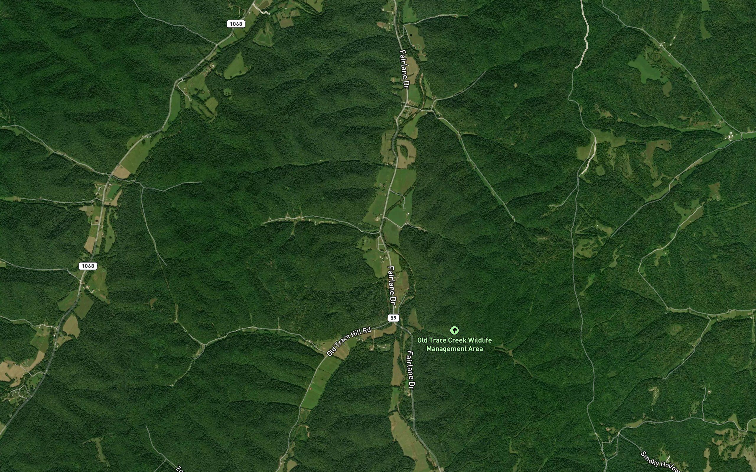 Dummit Branch