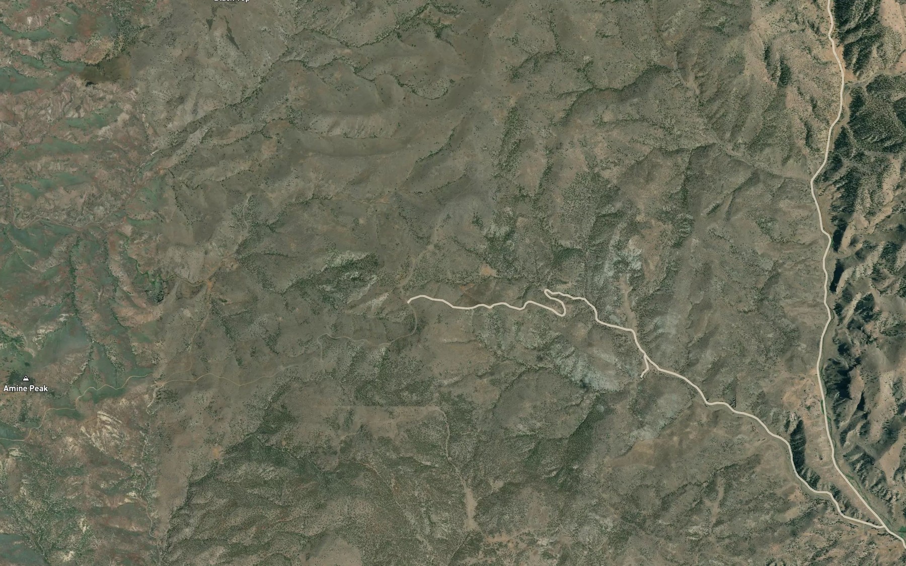Satellite map of the Nicholson Spring