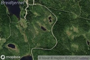 Kobberputtane