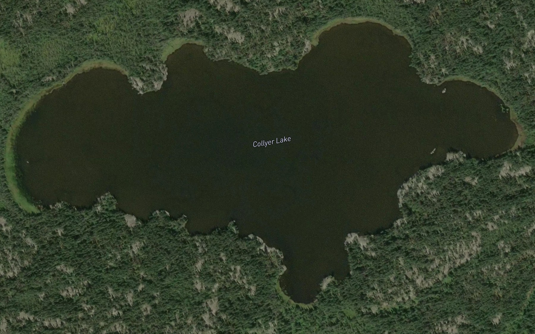 Satellite map of the Collyer Lake