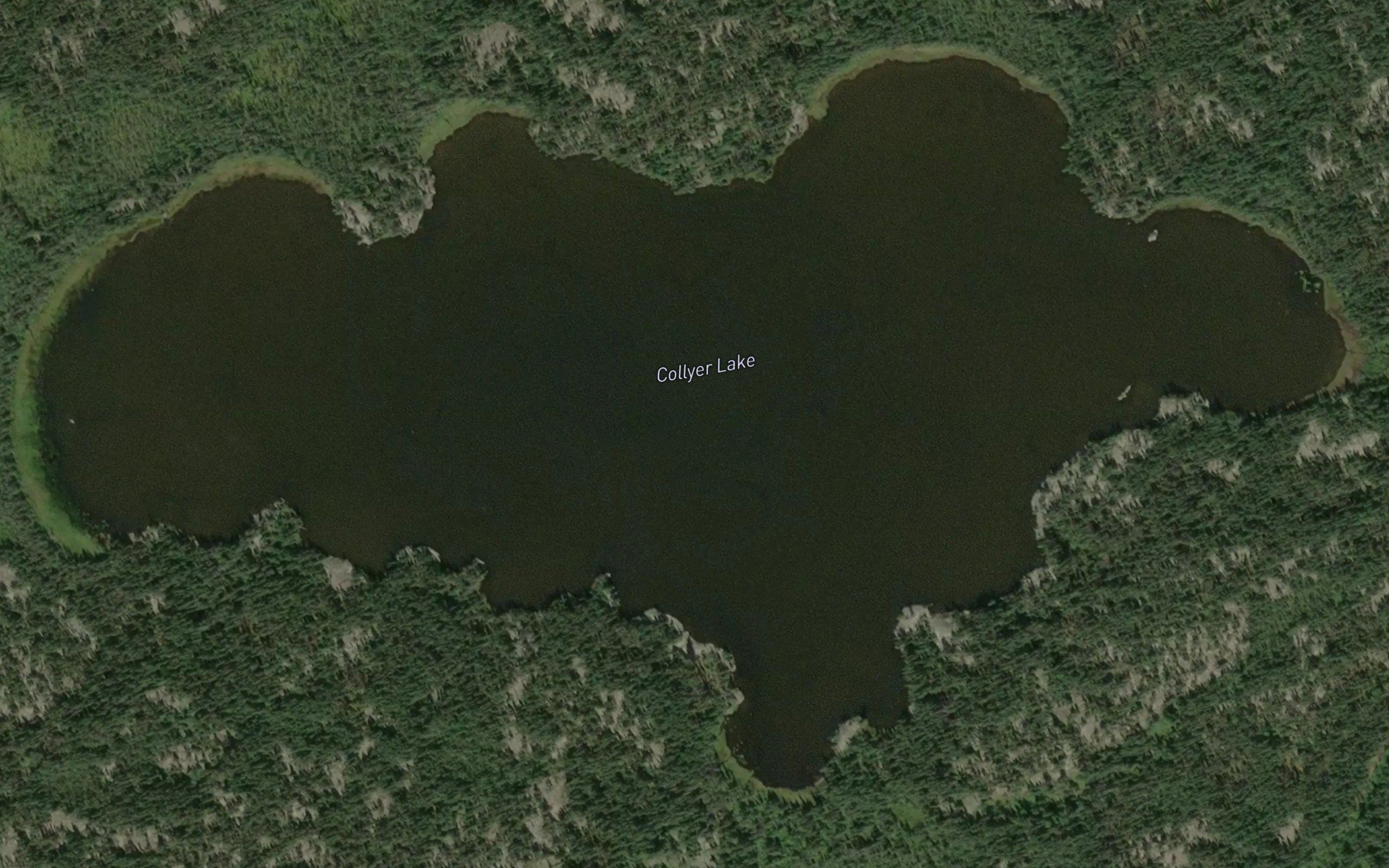 Collyer Lake