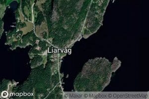 Liarvag