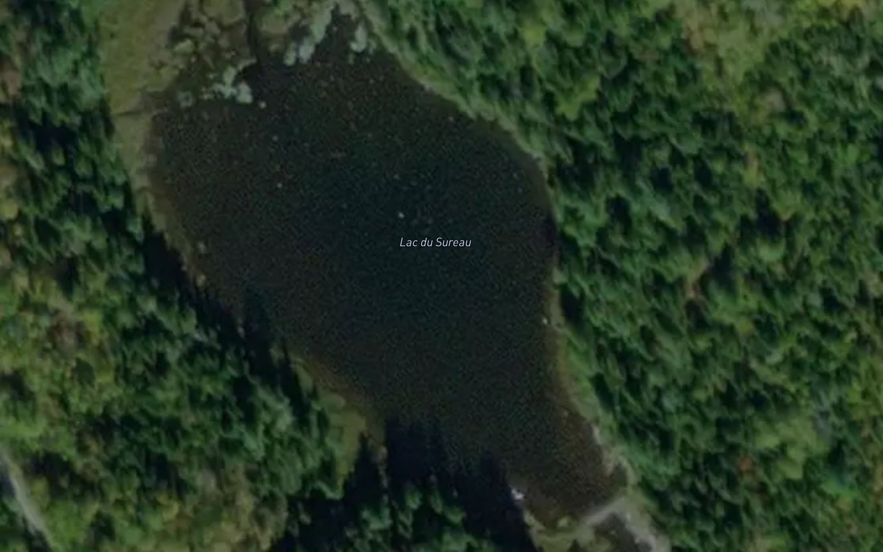 Satellite map of the Lac du Sureau