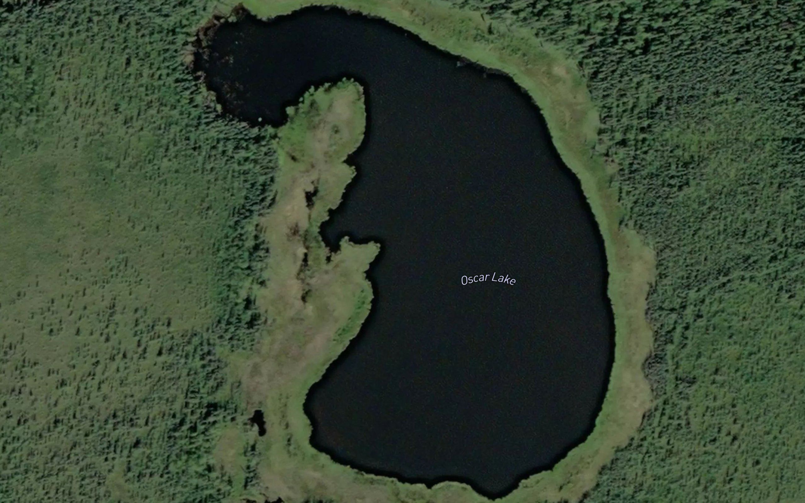 Oscar Lake