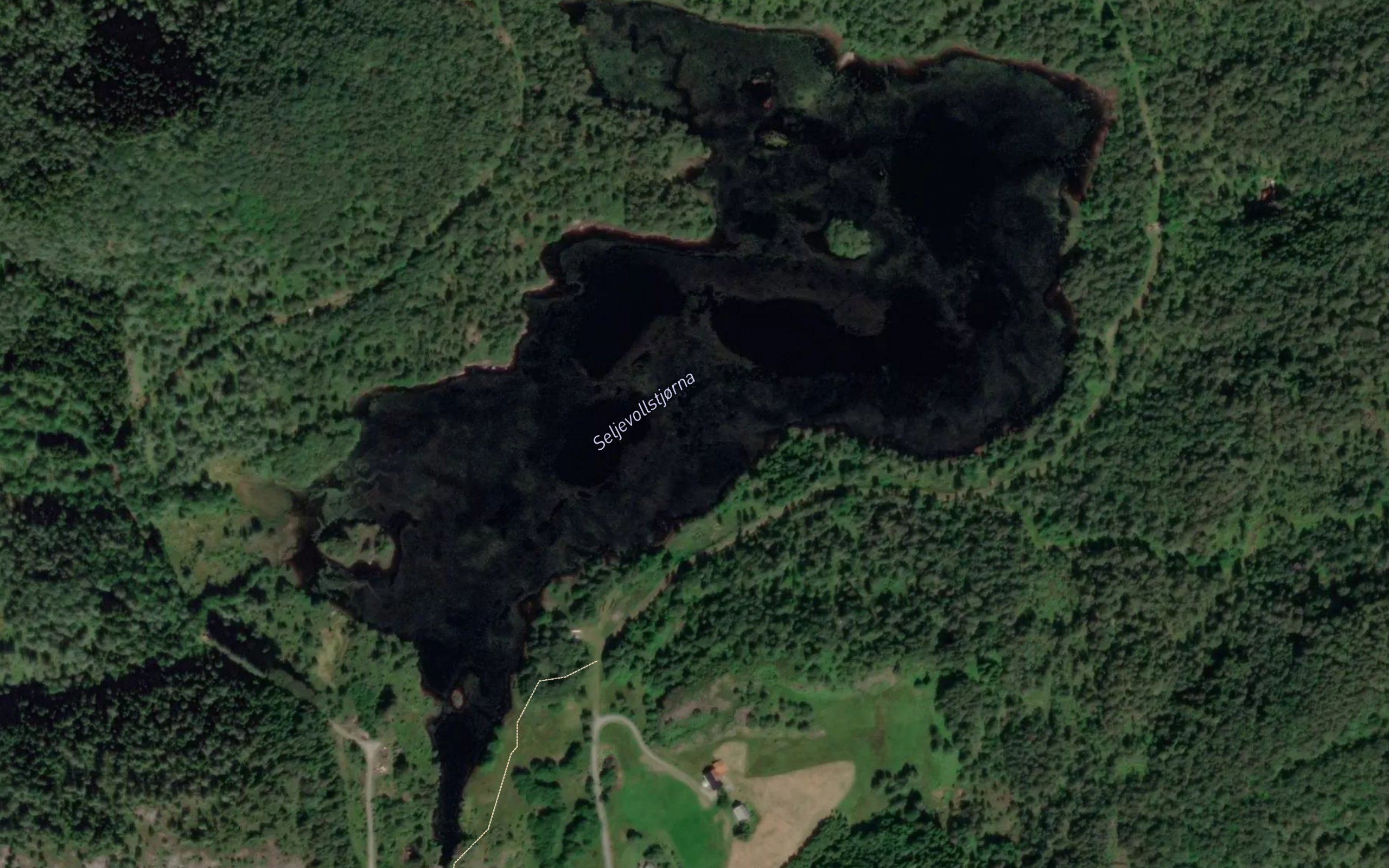 Seljevollstjorna