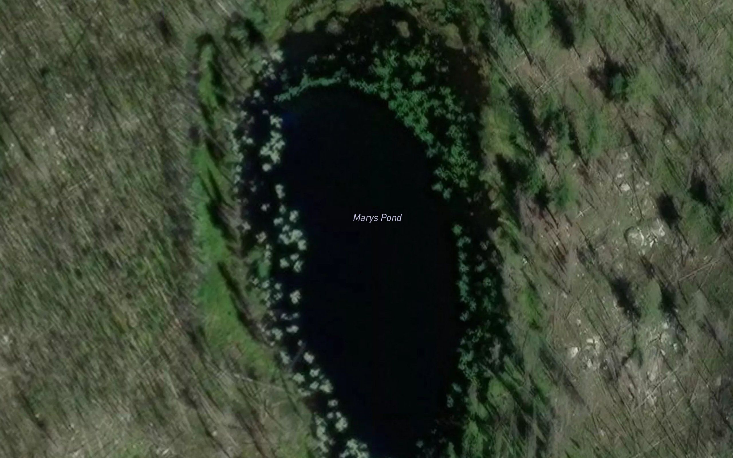 Marys Pond