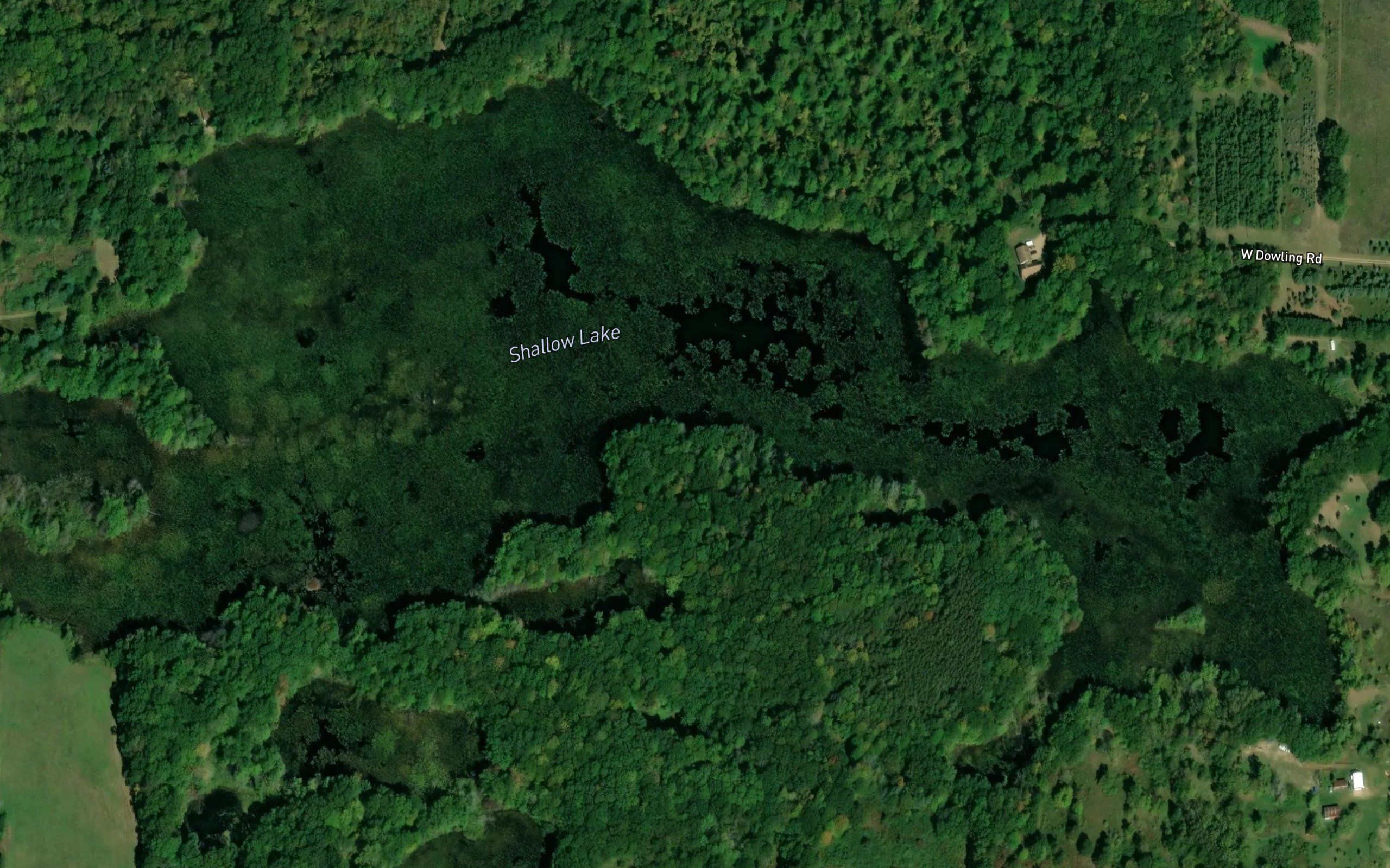 Shallow Lake