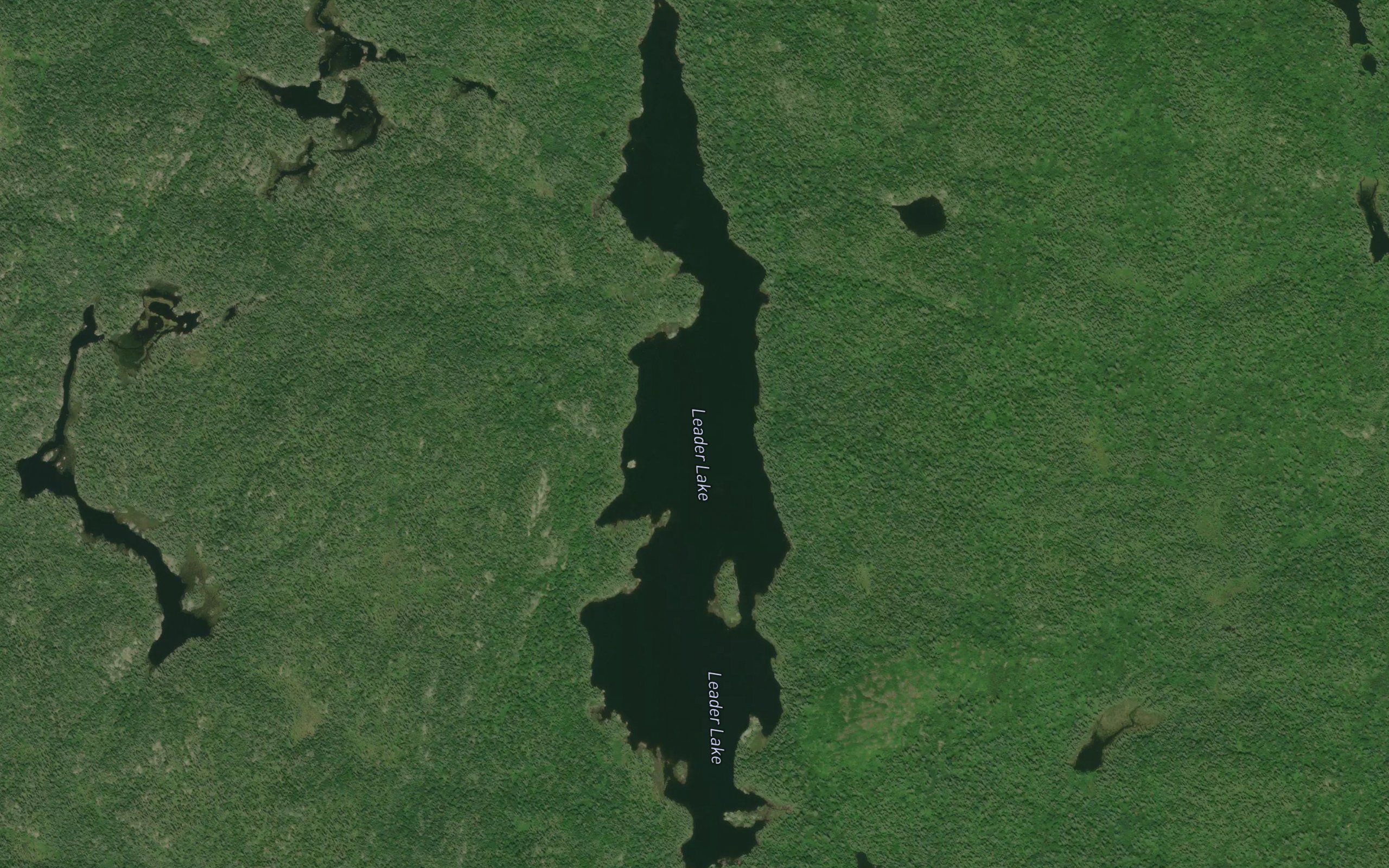 Leader Lake