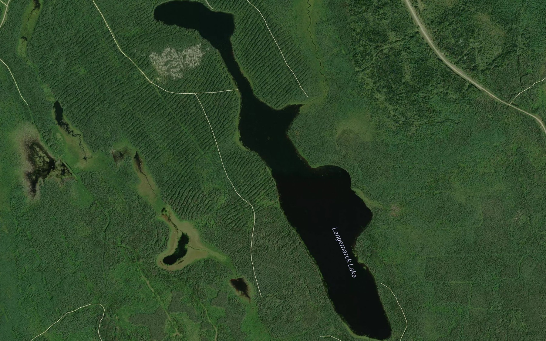 Satellite map of the Langemarck Lake