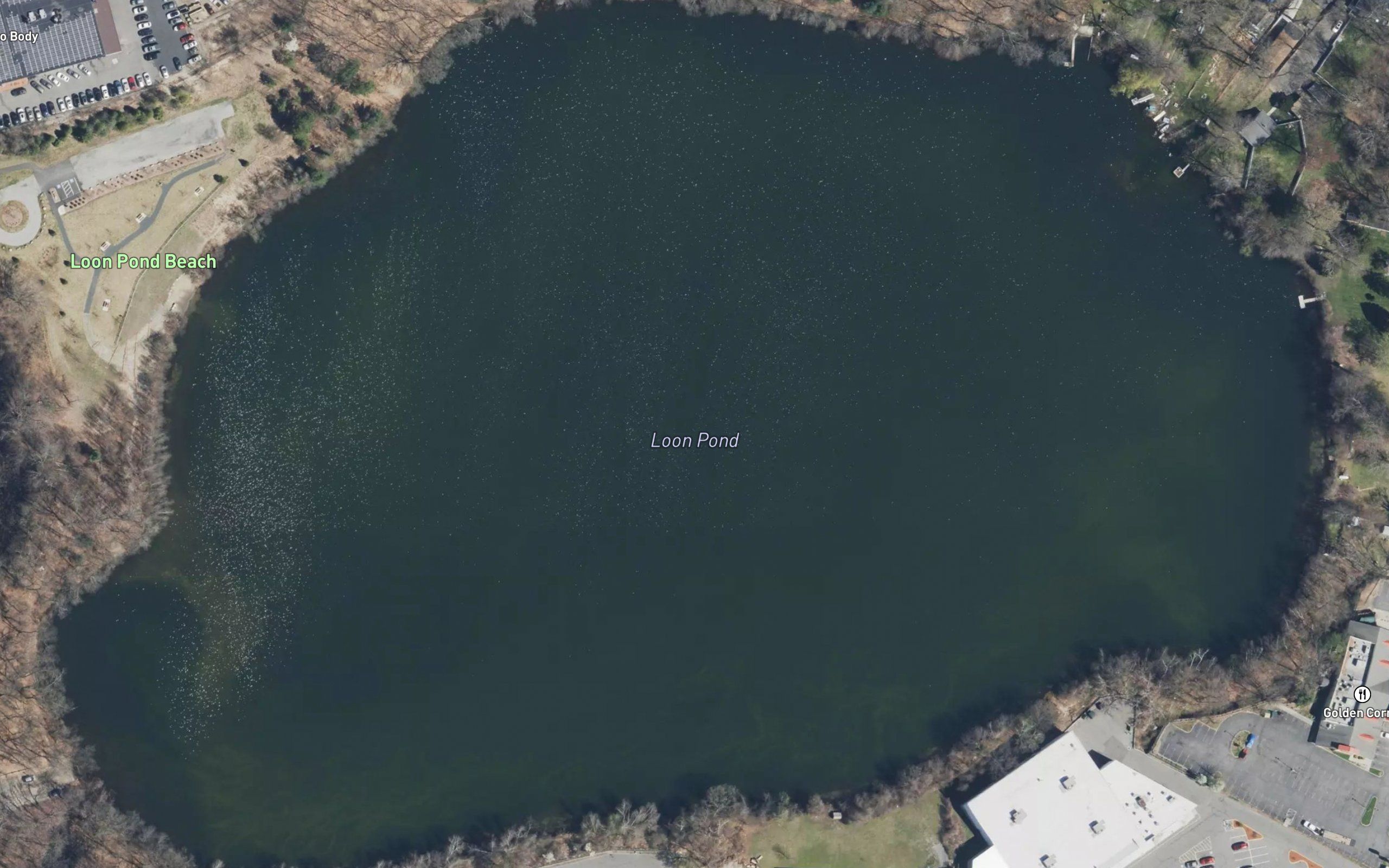 Loon Pond