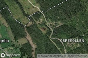 Tjernsputten