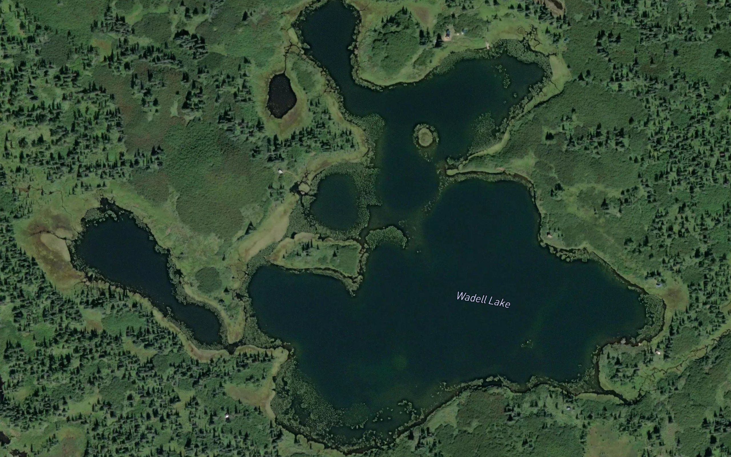 Wadell Lake