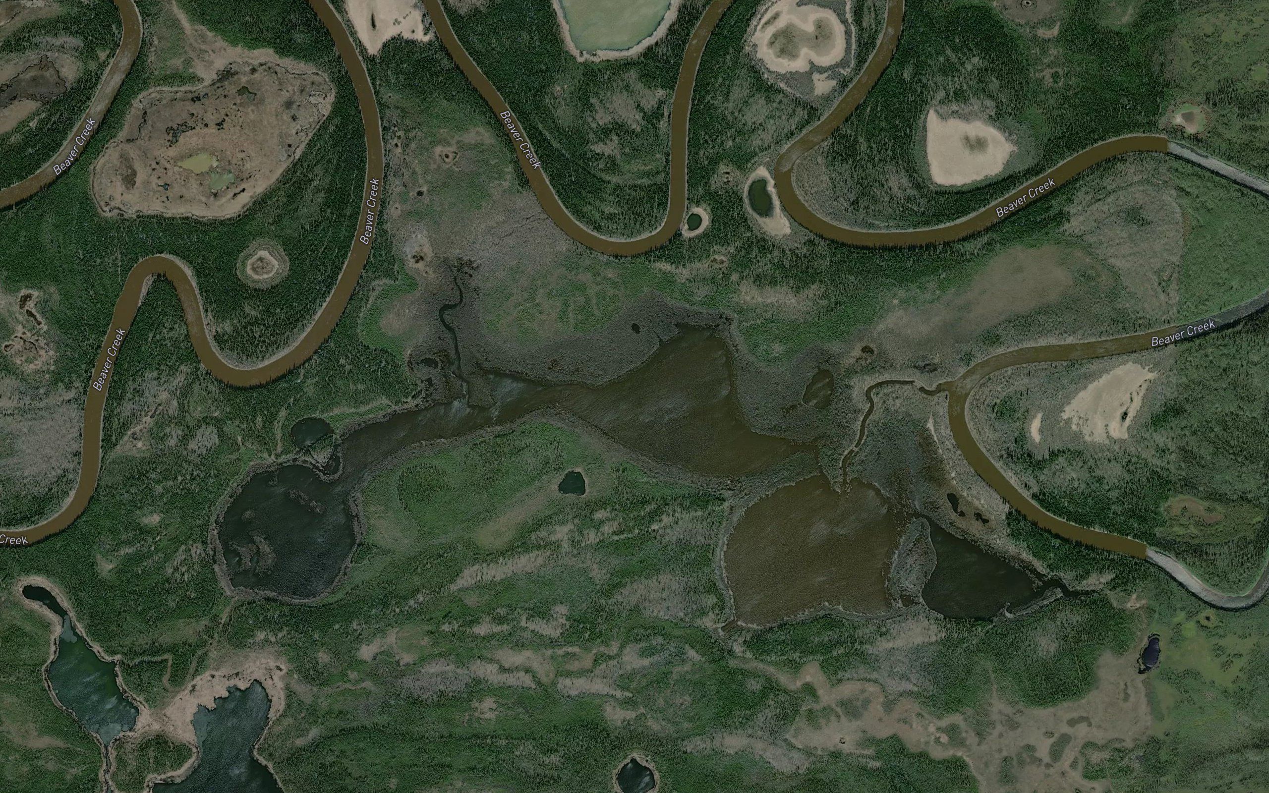 Shallow Lake