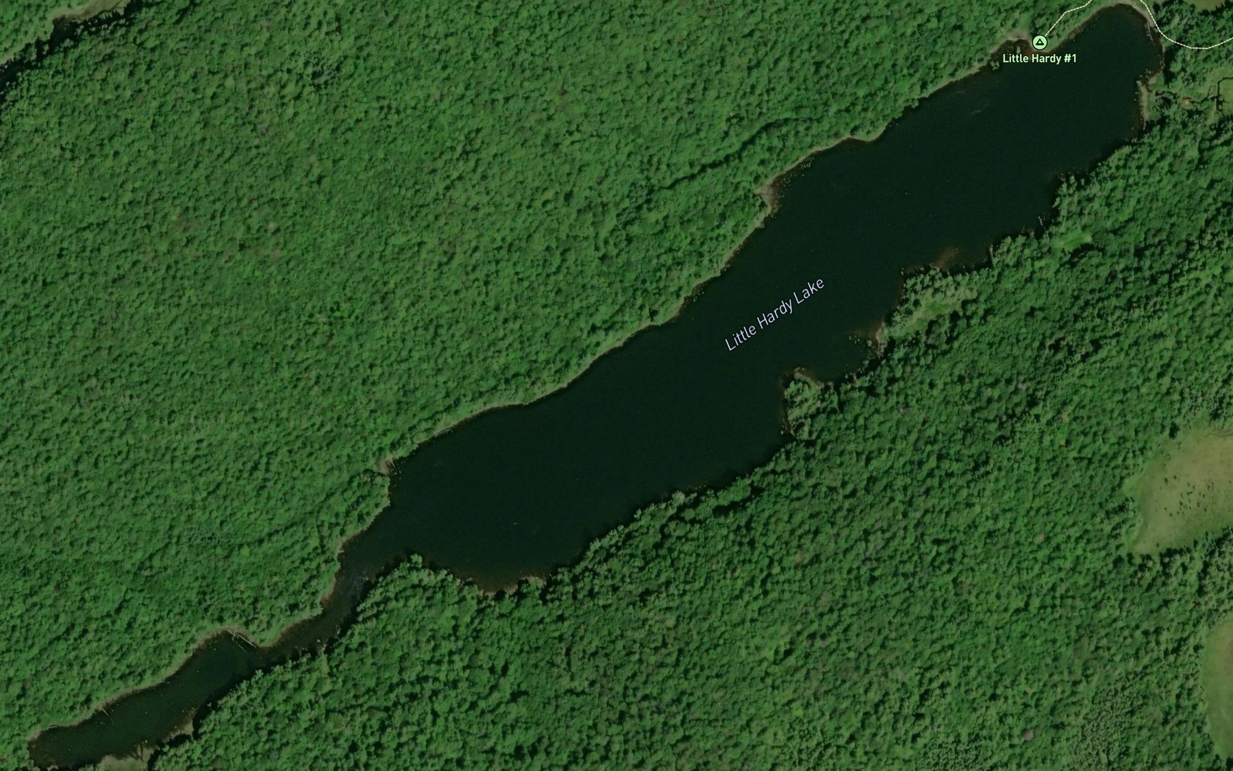 Satellite map of the Little Hardy Lake