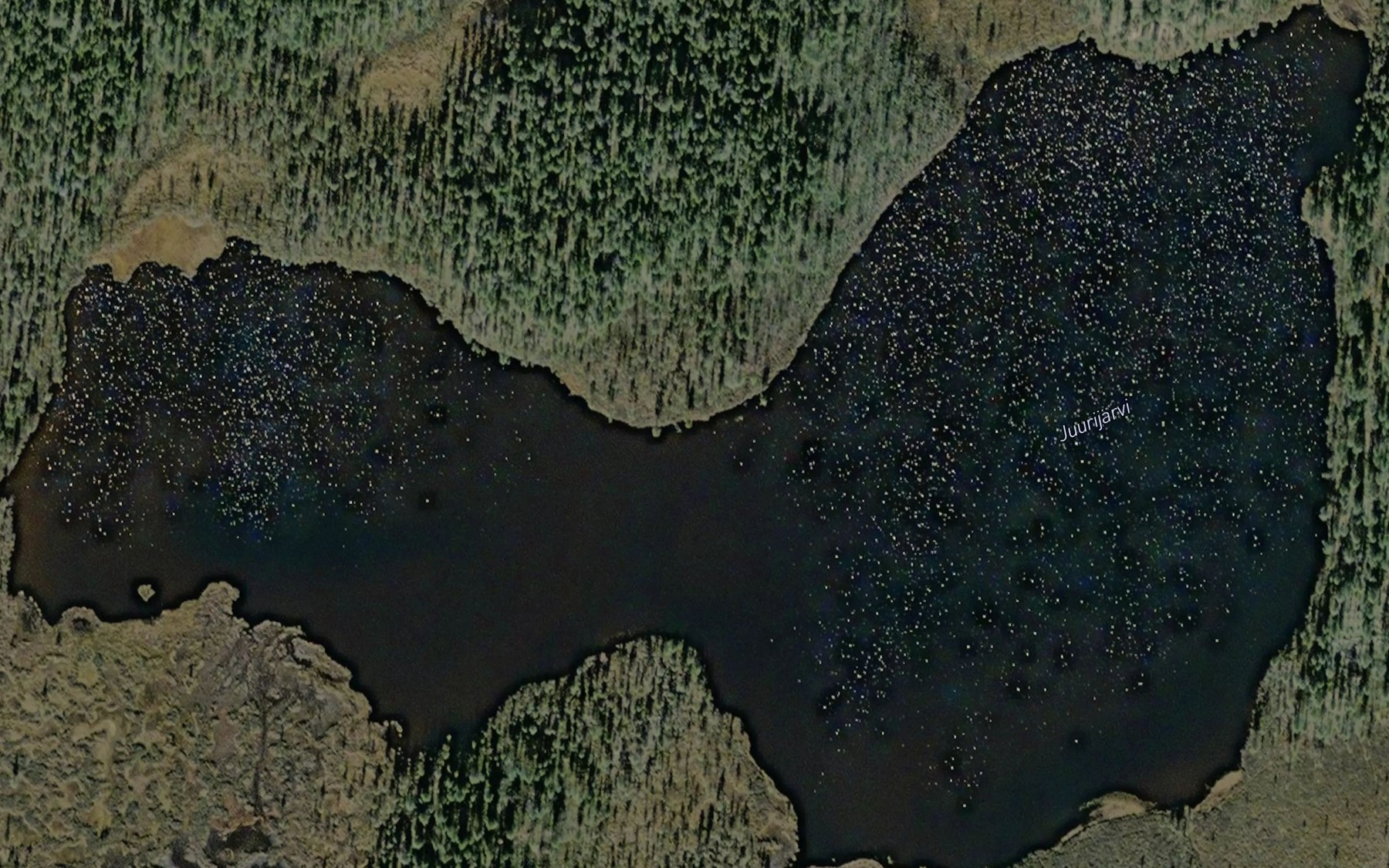 Satellite map of the Juurijarvi