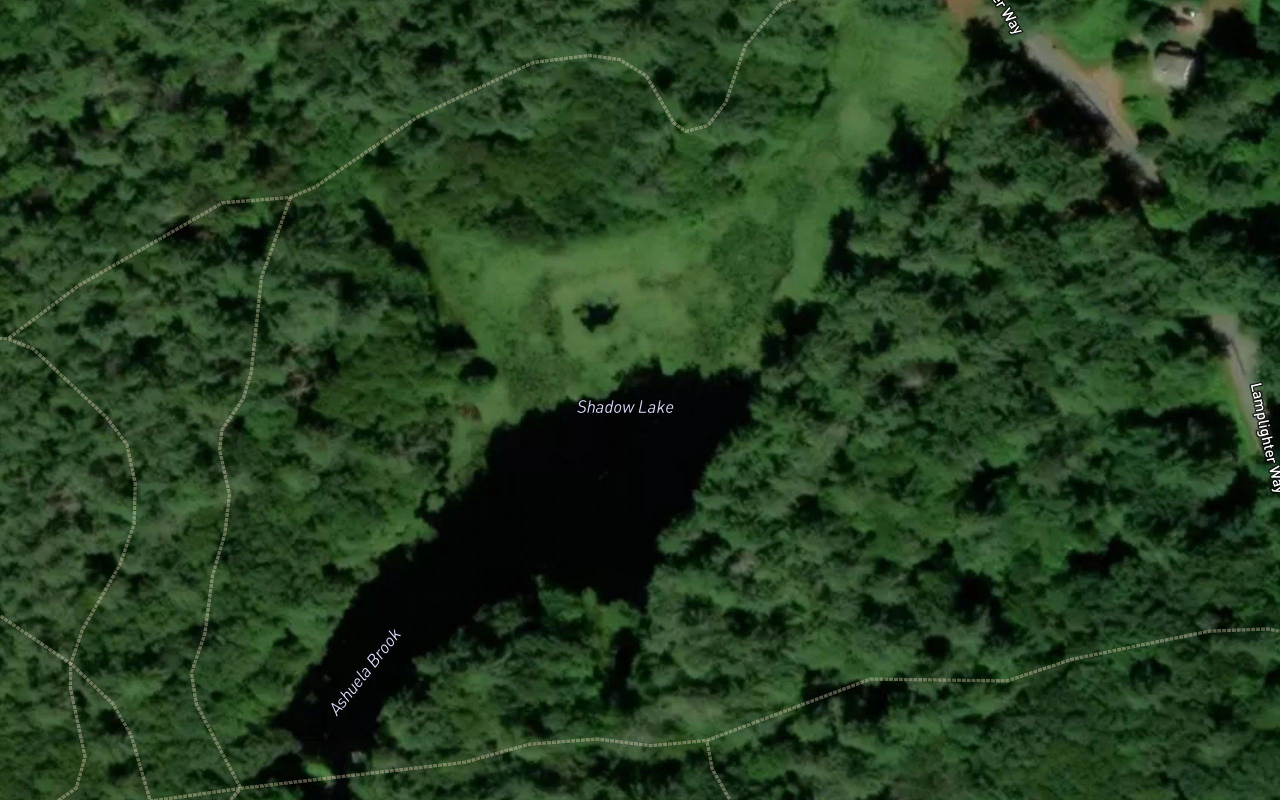 Shadow Lake
