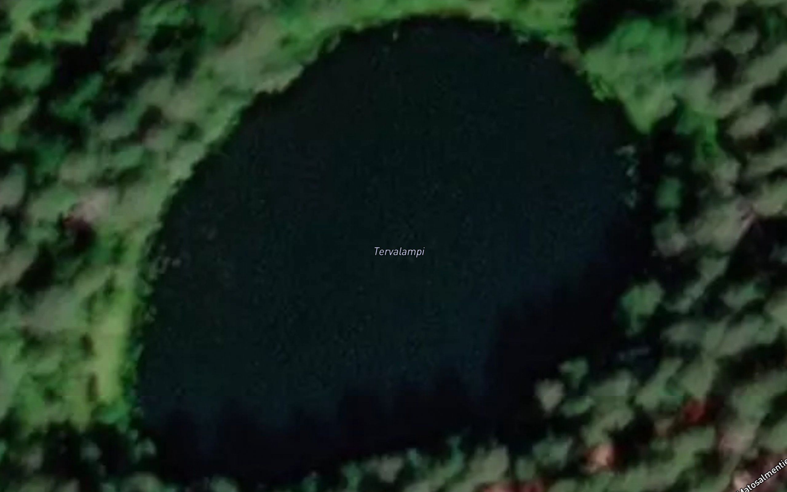 Tervalampi