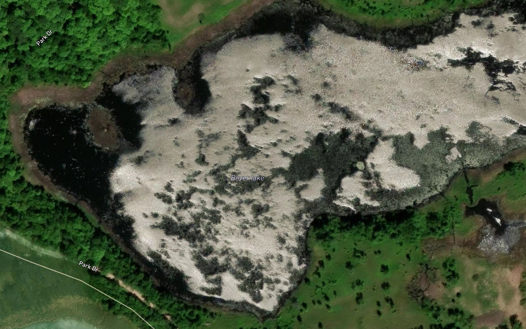 Satellite map of the Beaver Lake