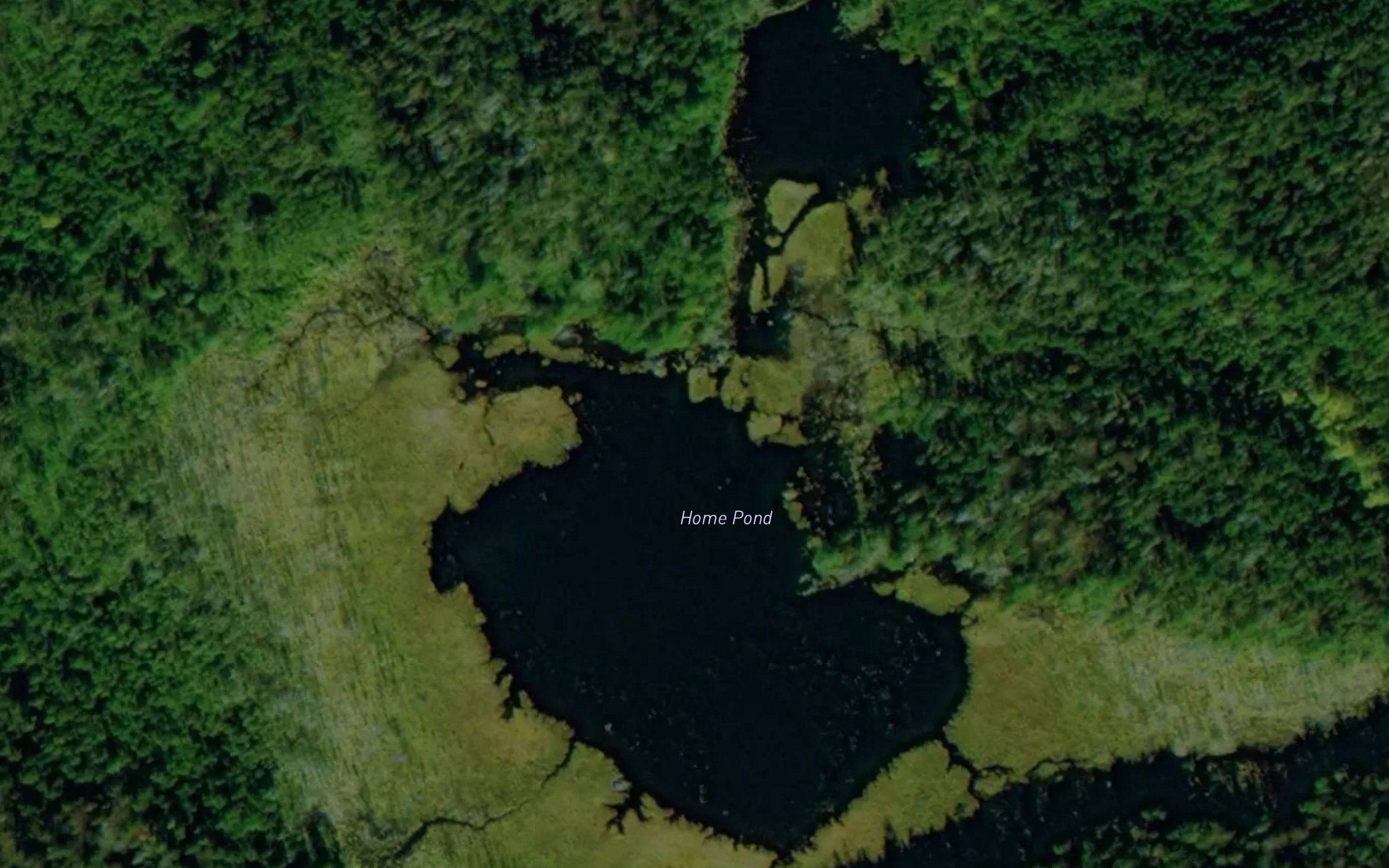 Home Pond