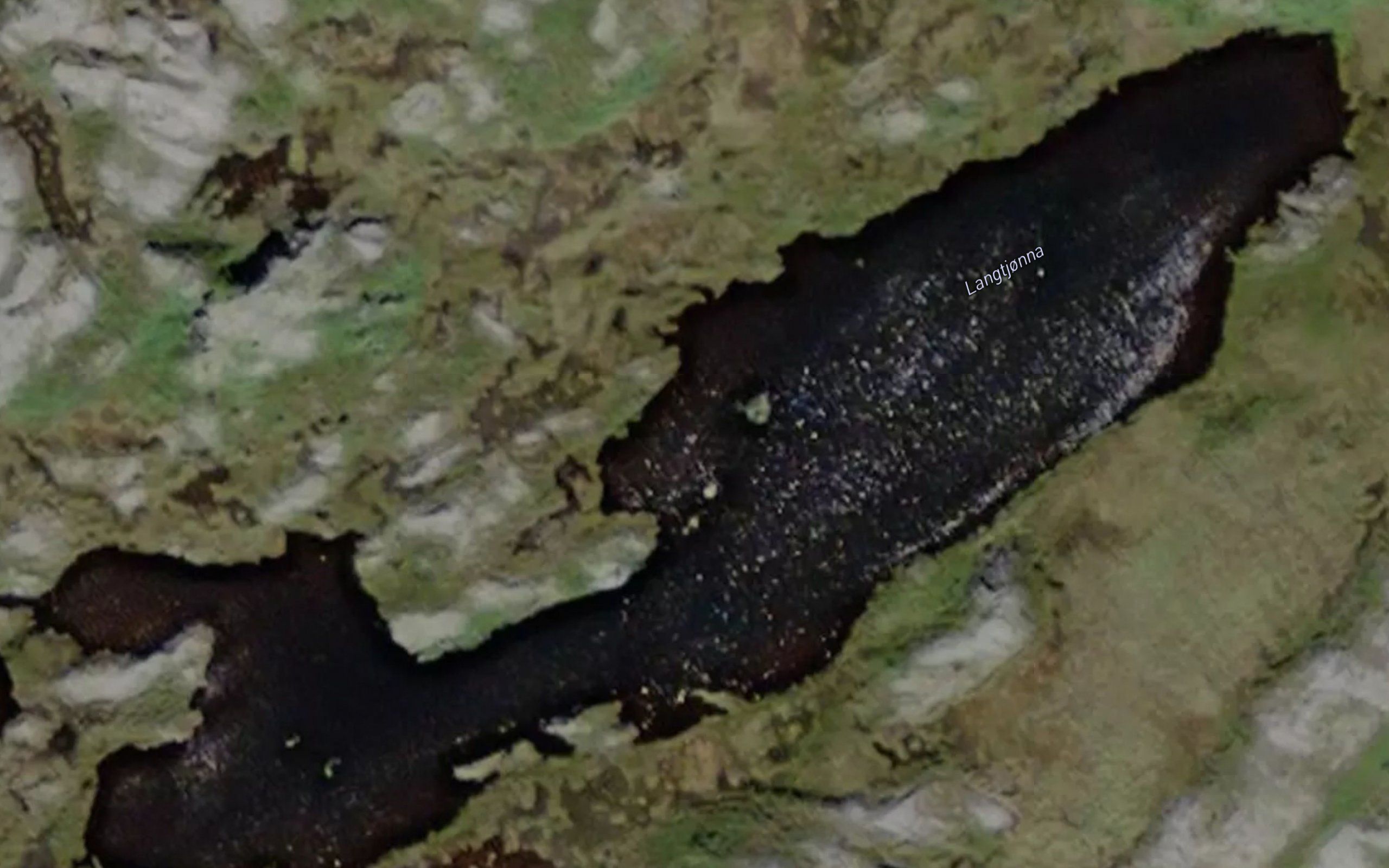 Langtjorna