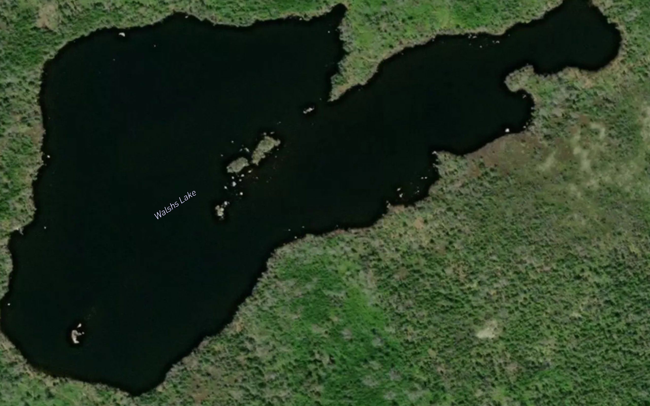 Walshs Lake