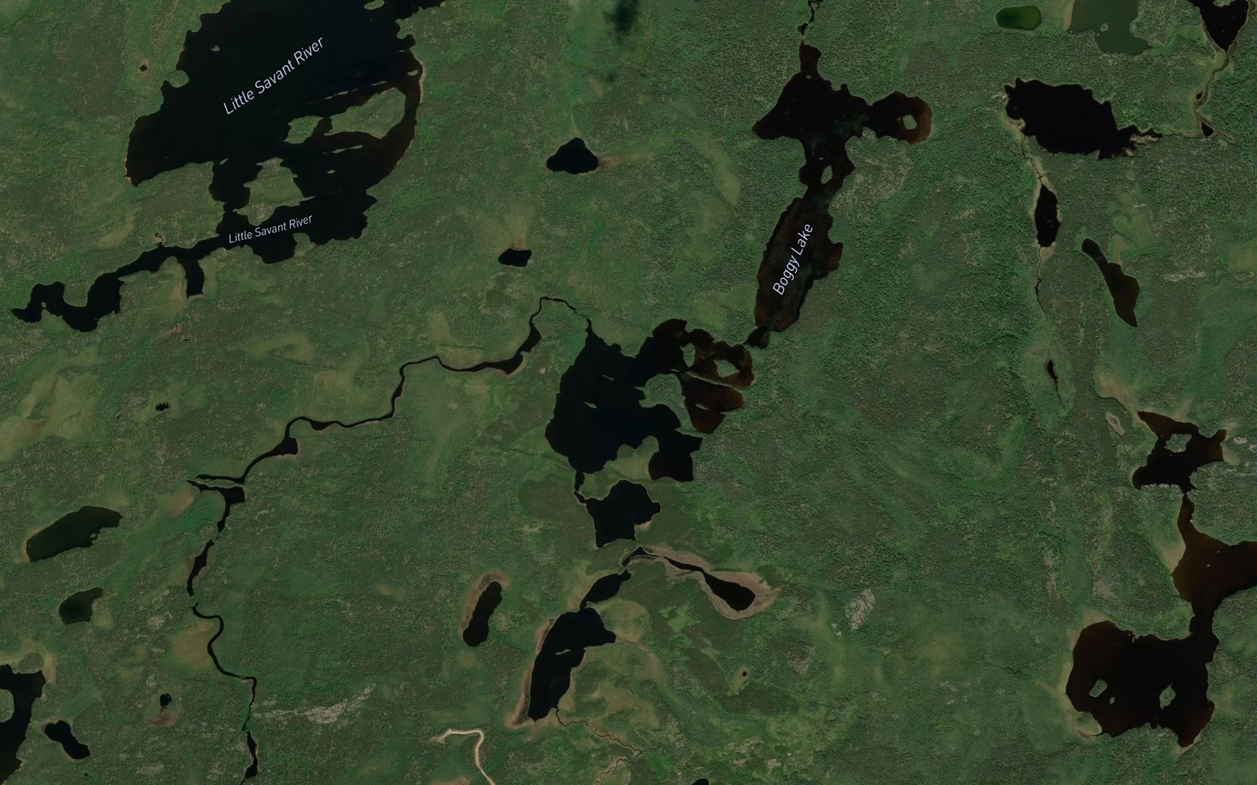 Satellite map of the Boggy Lake