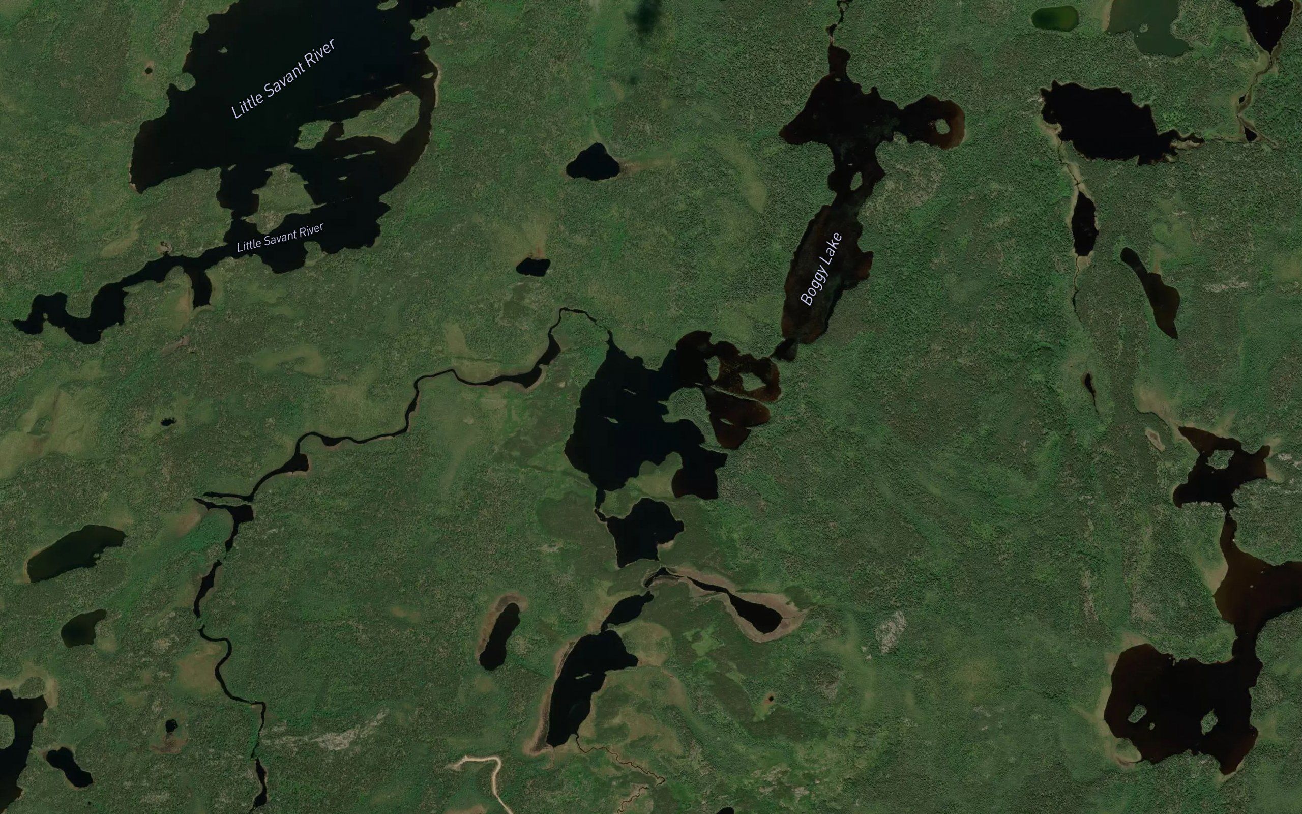 Boggy Lake