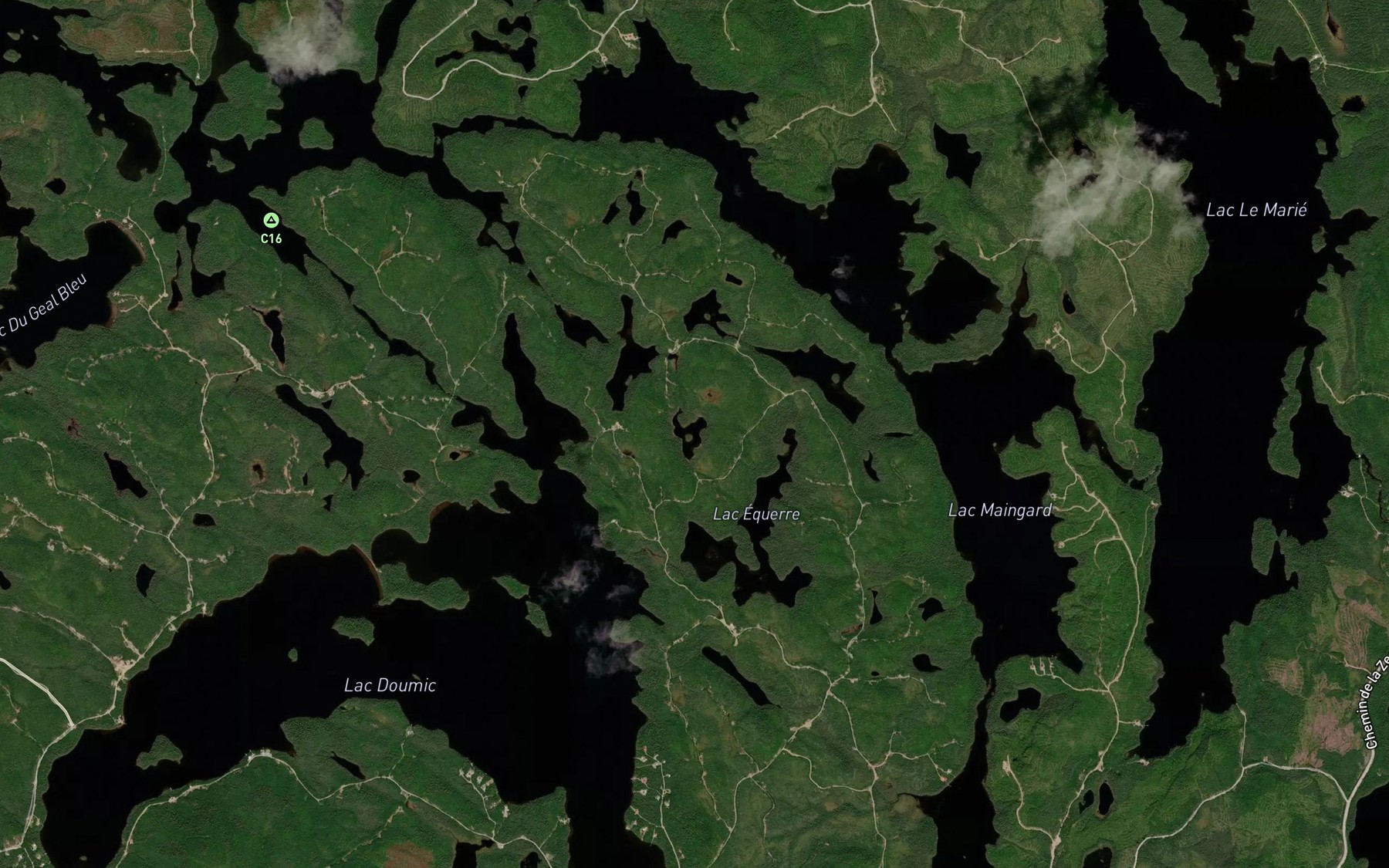 Satellite map of the Lac de la Branche