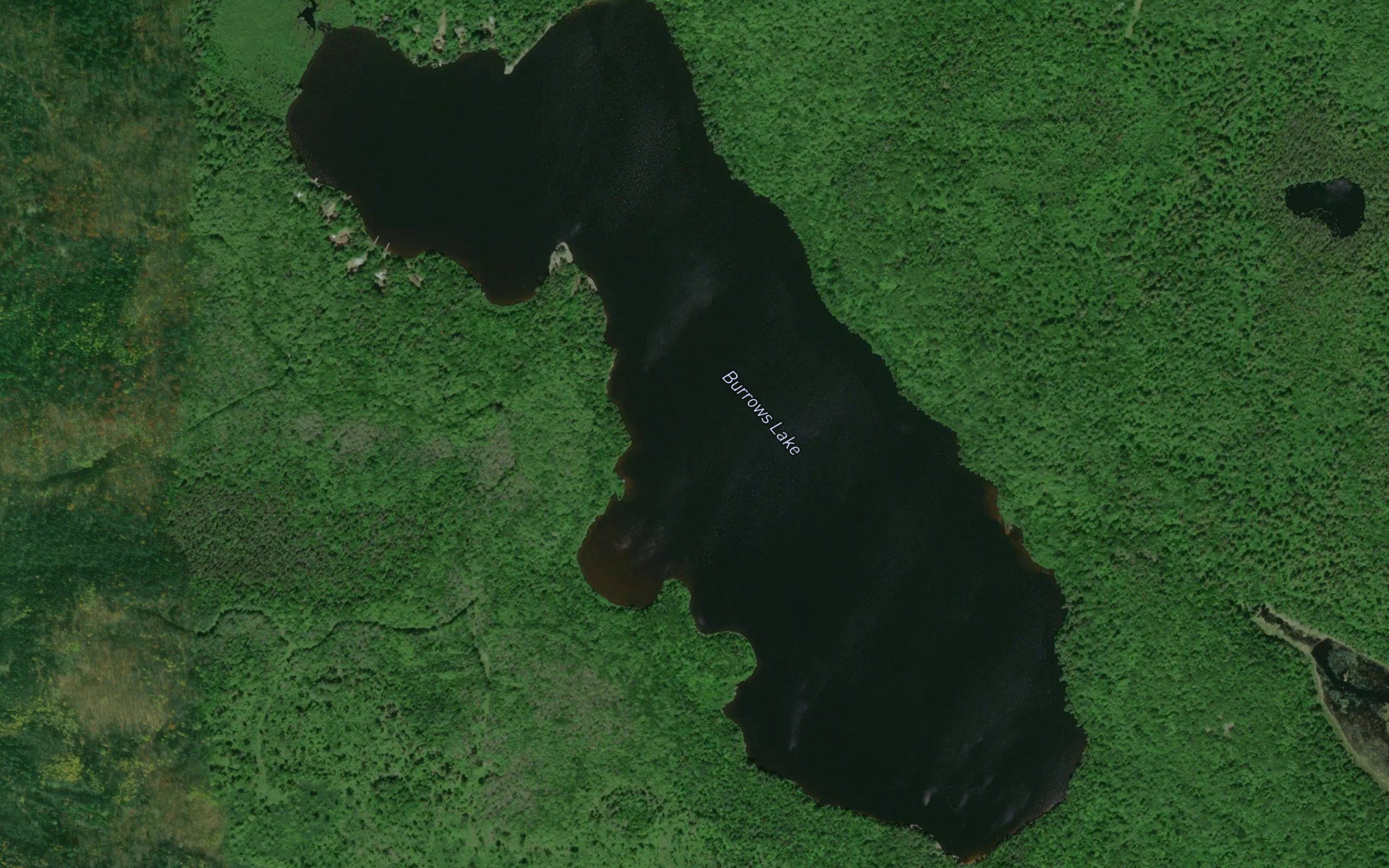 Burrows Lake