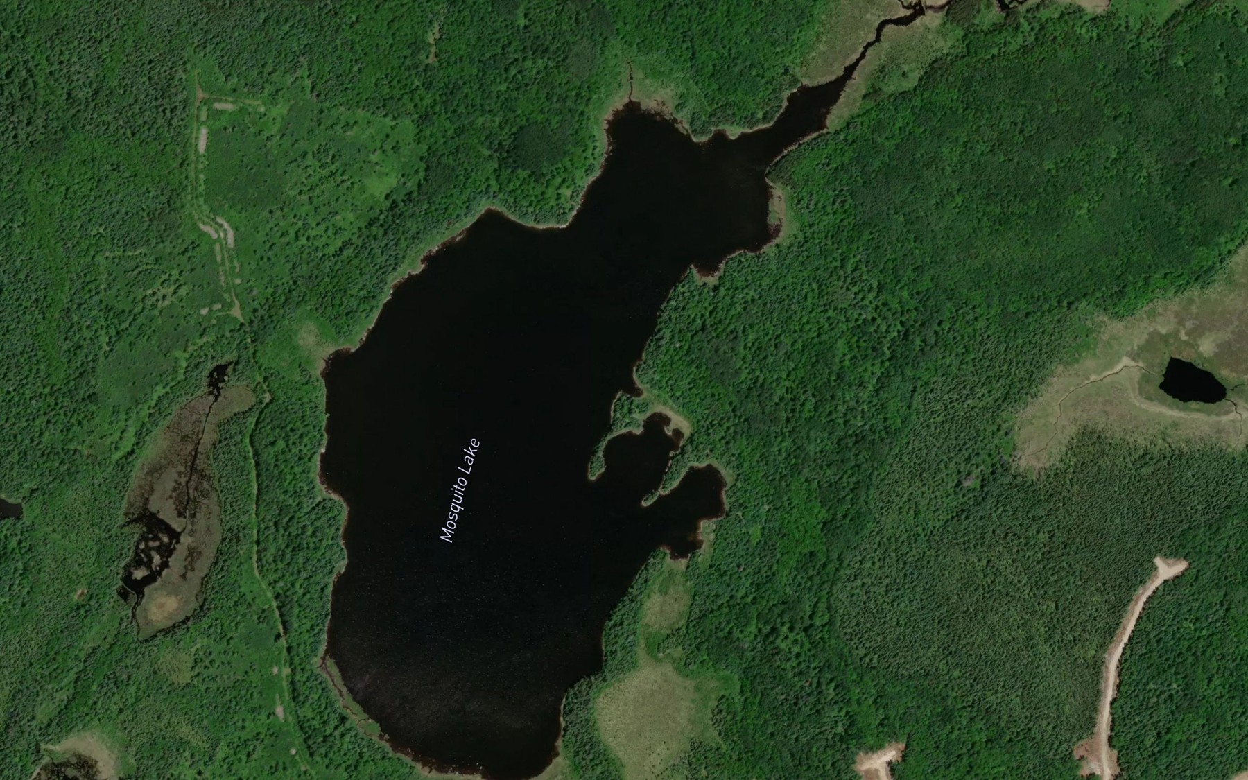 Satellite map of the Mosquito Lake