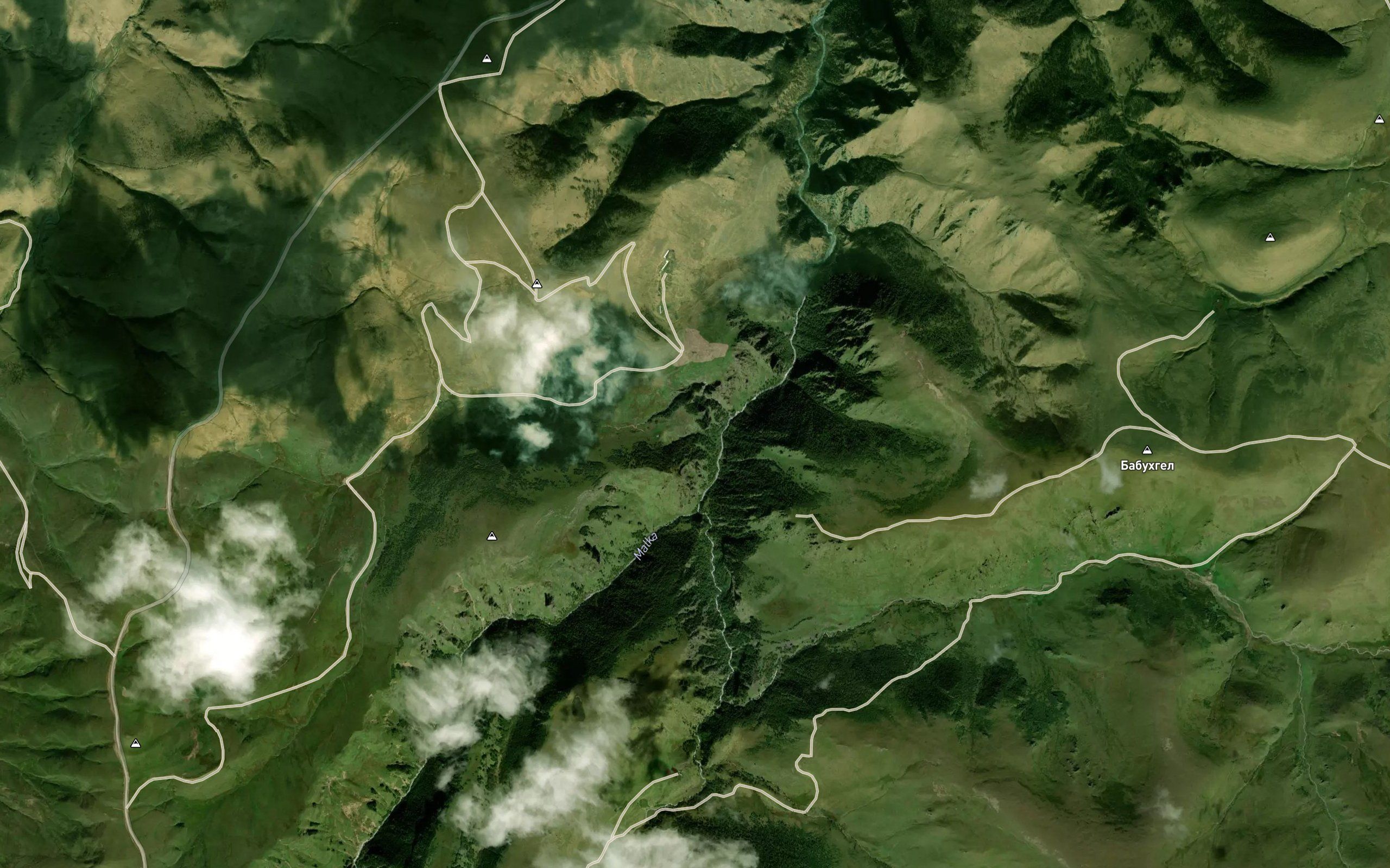 Shaukol