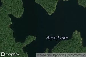Alice Lake