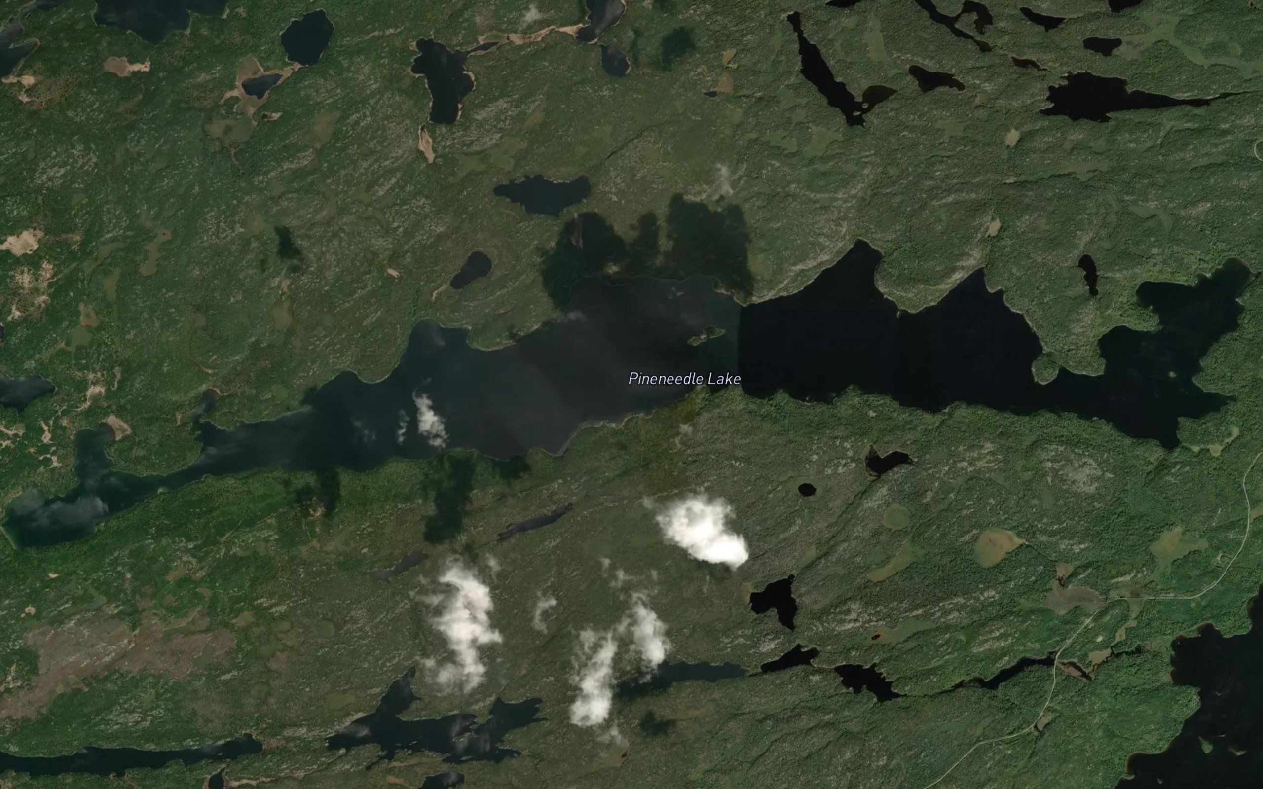 Pineneedle Lake