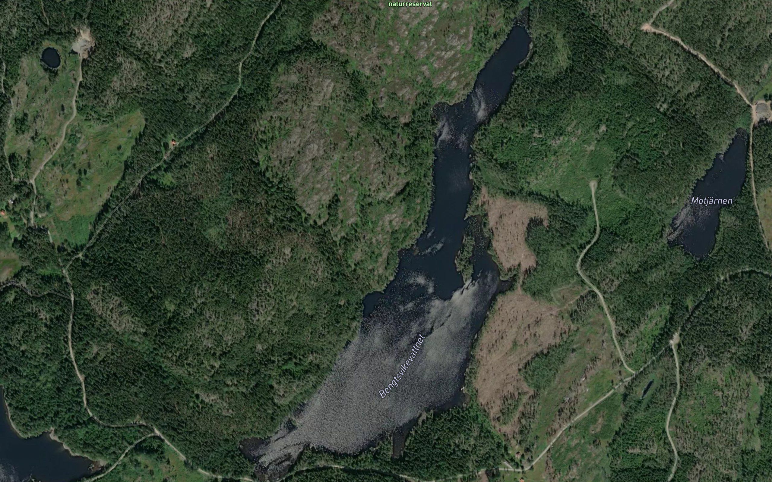 Bengtsviken