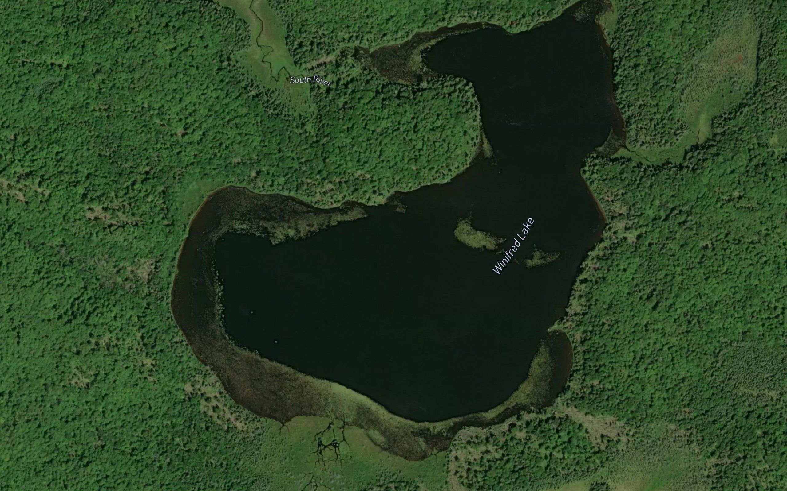 Winifred Lake